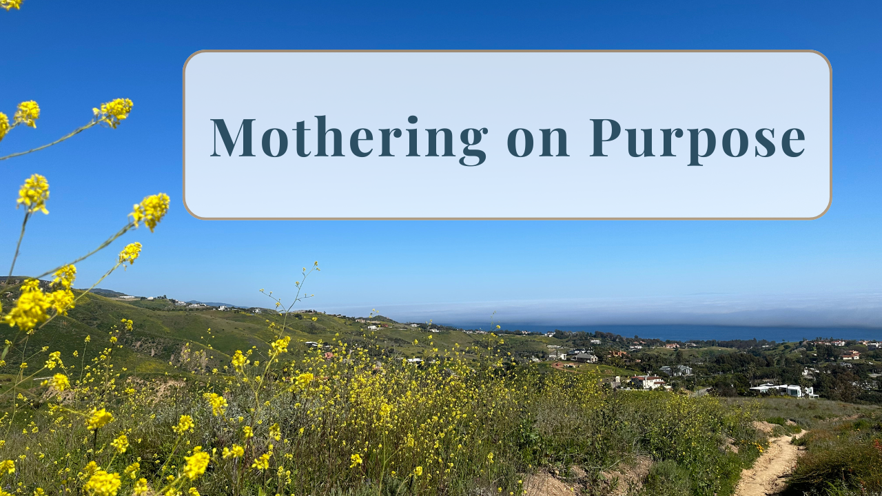 312. Mothering on Purpose: Mindful Mothering Across Every Stage