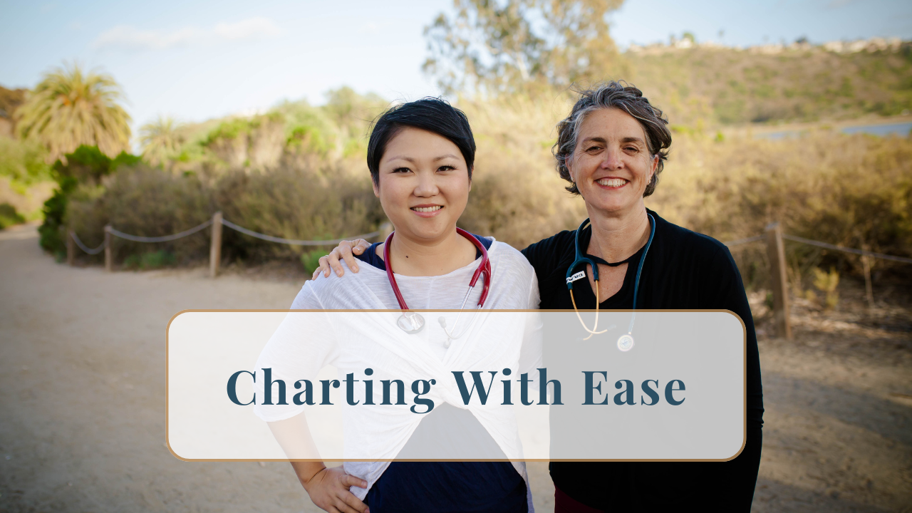 313. Charting with Ease: A Mindful Approach for Physicians