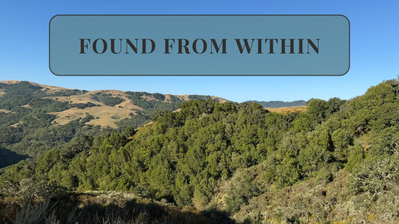 321. Feeling Restless in Medicine? One Pediatrician's Story of Leaving, Returning, and Finally Feeling Found