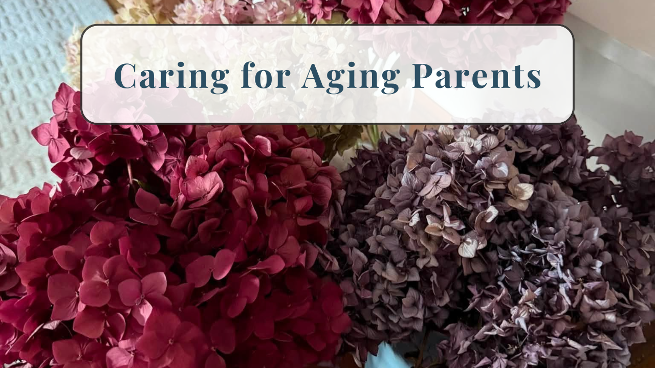 324. Physicians Caring for Aging Parents: Boundaries and Buoyancy