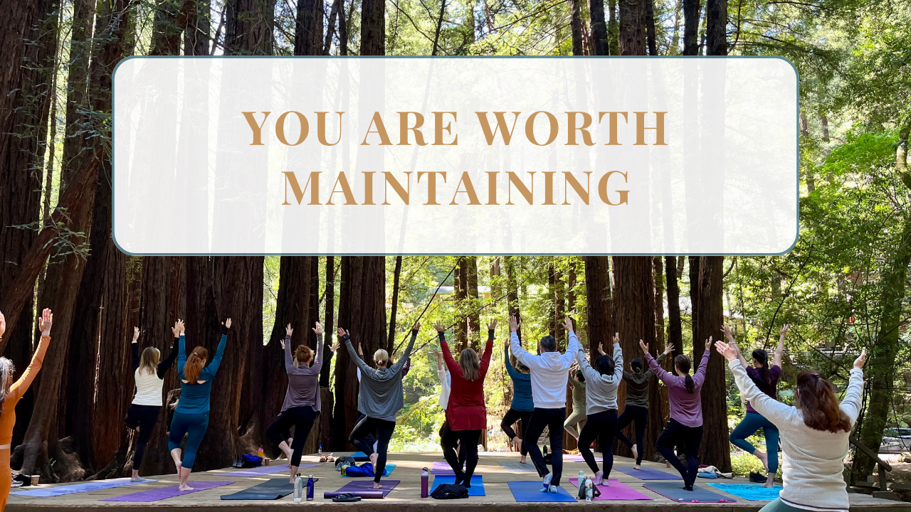 331. High Maintenance: You Are Worth Maintaining Meticulously