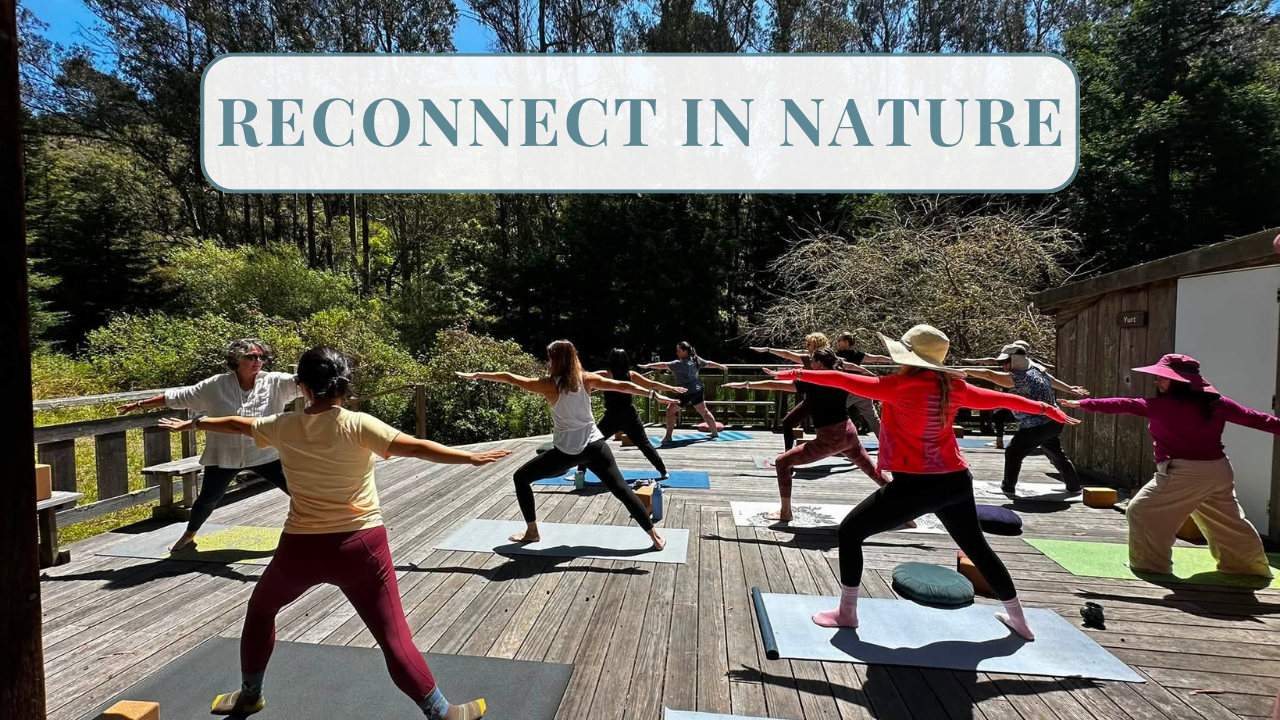 337. You Don’t Have to Wait Until It’s That Bad: Reconnecting in Nature with Dr. Kristen Rice