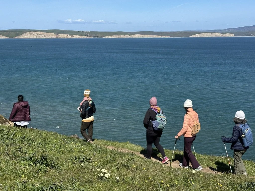 Five people walking along a grassy coastline near a large body of water with cliffs and hills in the background.