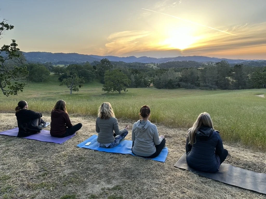 Five women sitting on yoga mats meditation outdoors in a field during sunset with trees and mountains in the background.