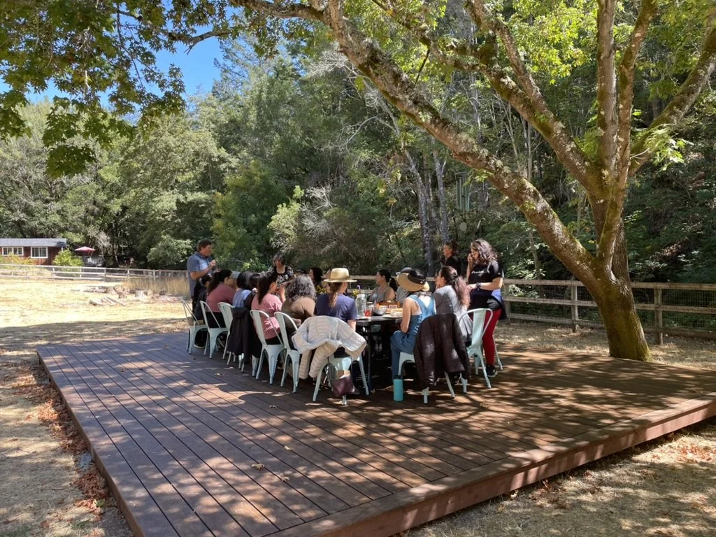 People gathered around a table on a wooden deck outdoors, under a large tree, with surrounding trees and a fence in the background.