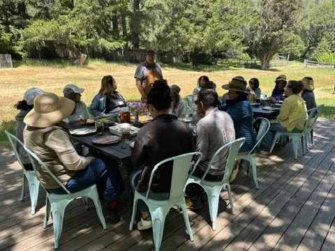A group of people gathered around an outdoor dining table on a wooden deck, enjoying a meal together with greenery and trees in the background.