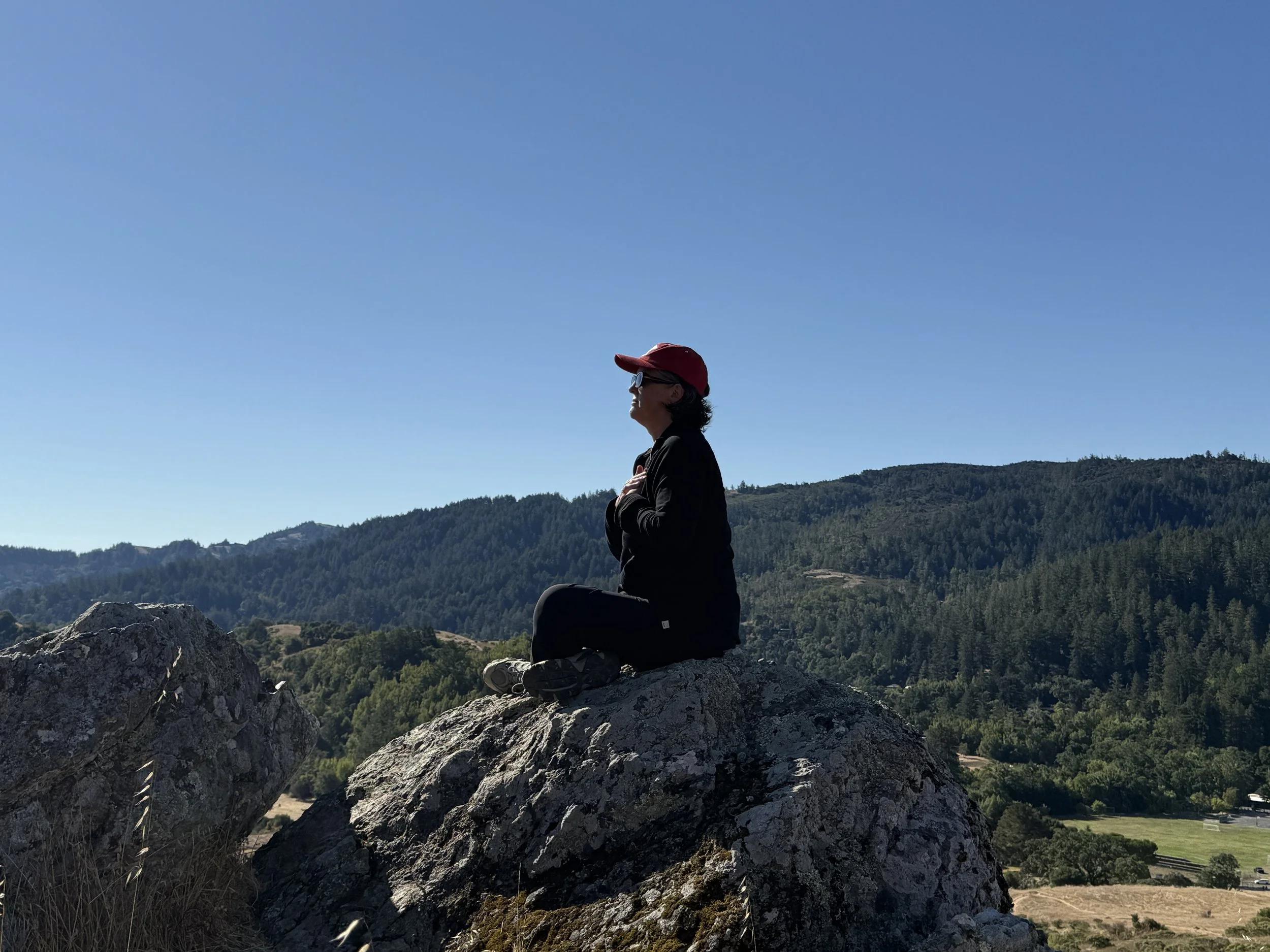 Person meditating on large rock overlooking a forested landscape on a clear, sunny day.