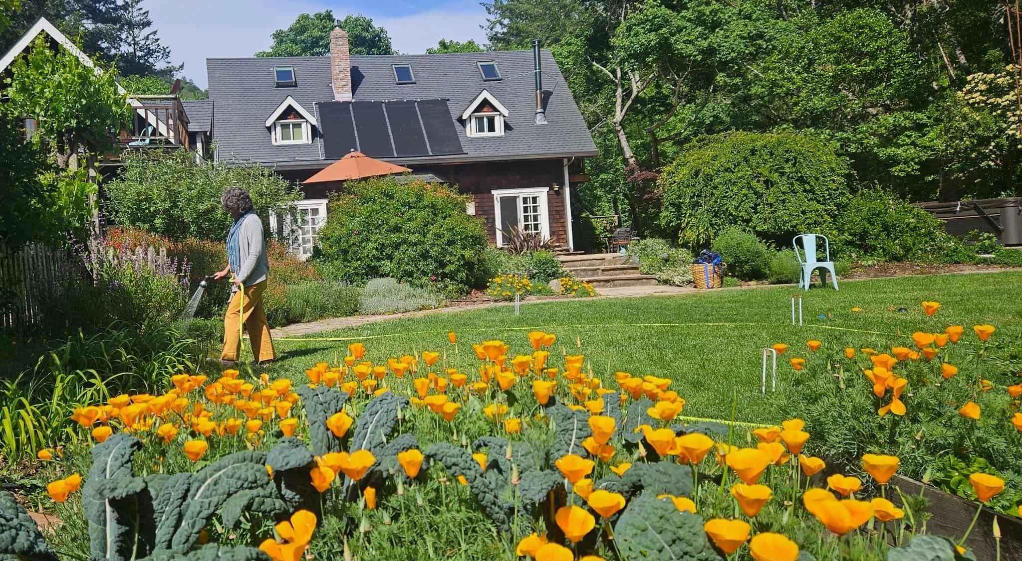 May 26-29, 2026, Professional Coaching and Mindfulness CME Registration