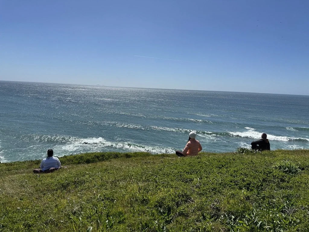 Three people sitting on grass near the ocean, looking at the water with a clear blue sky above.