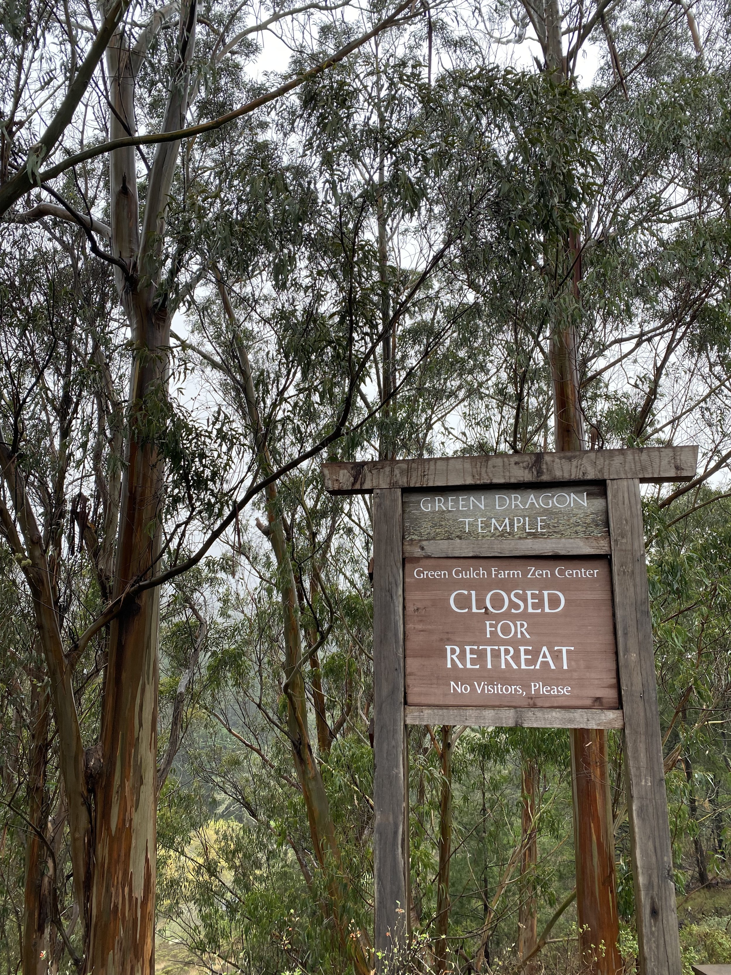 A wooden sign in a forested area reads "Green Dragon Temple" and states it is closed for retreat, with no visitors allowed.