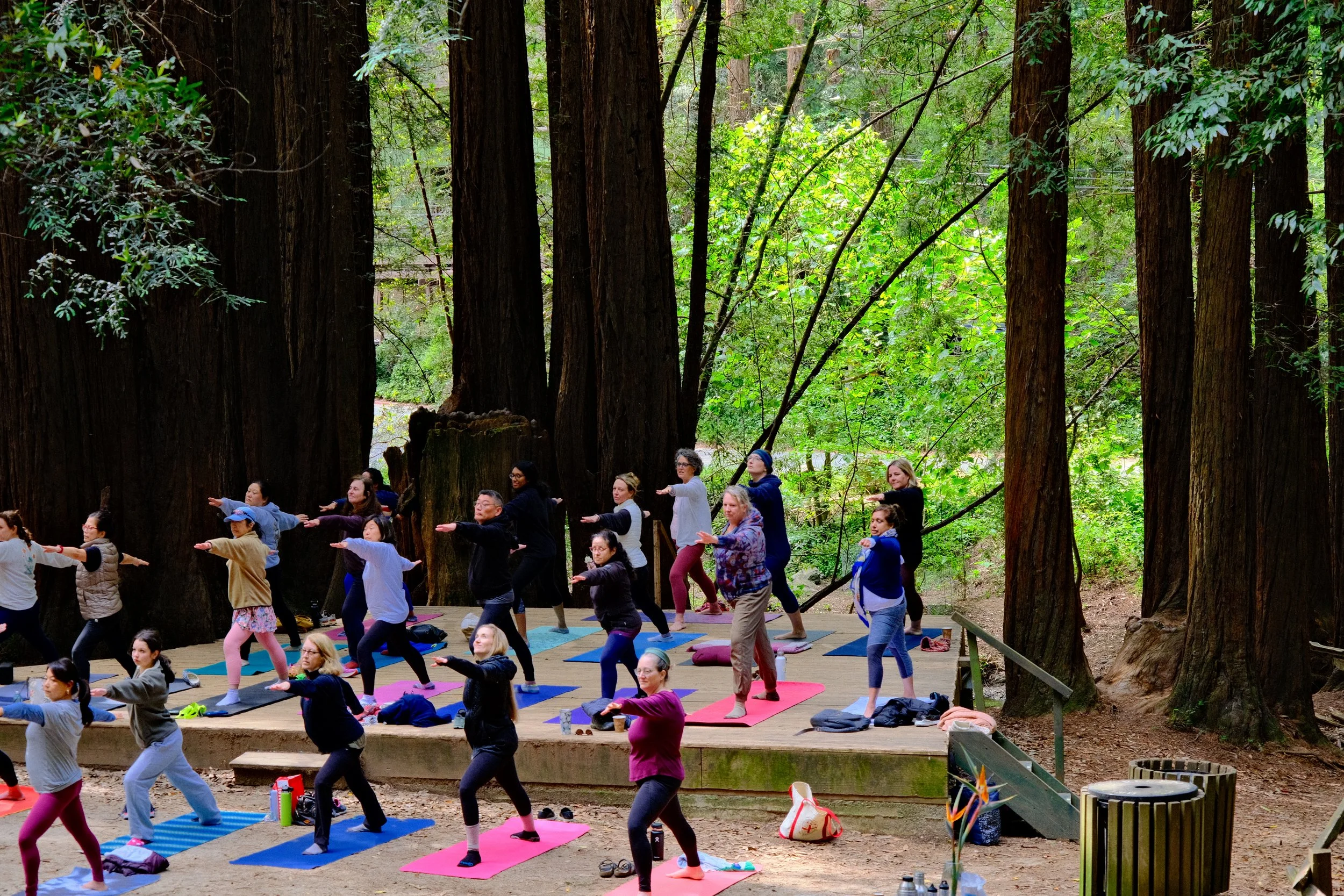 A group of people practicing yoga outdoors on mats in a forest, standing on a wooden platform surrounded by tall trees with green foliage.