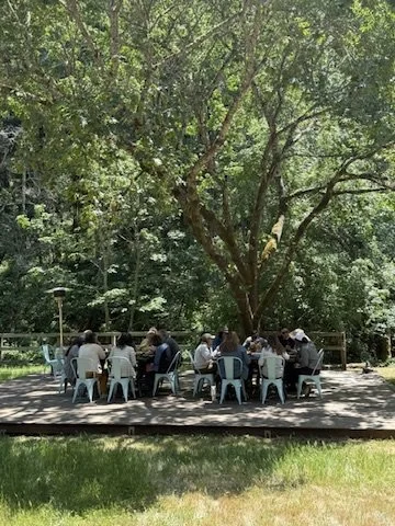 Group of people sitting at tables outdoors under a large tree at a park.