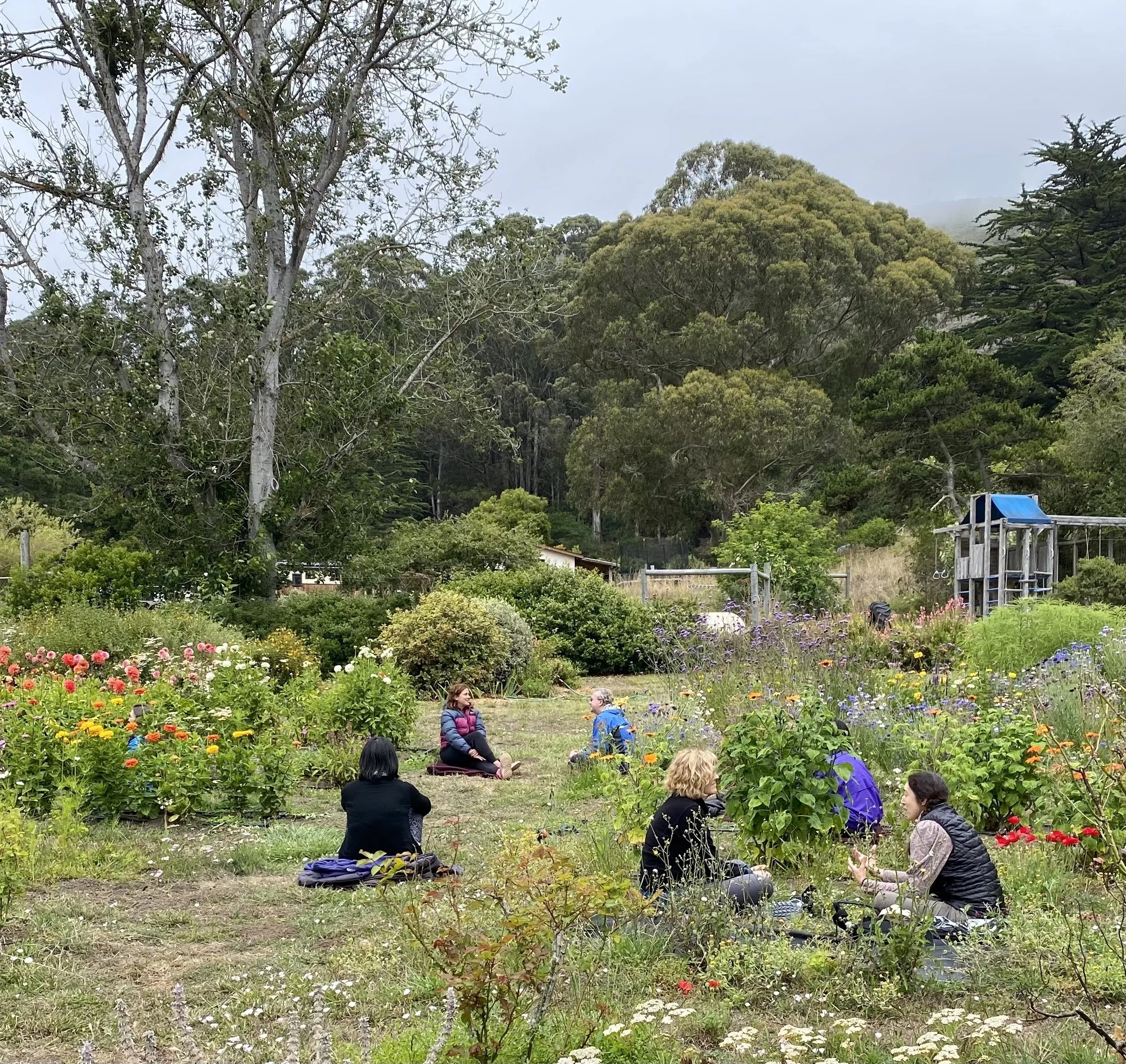 People sitting and talking on a gardening or outdoor meeting in a wildflower garden with trees and a play structure in the background.