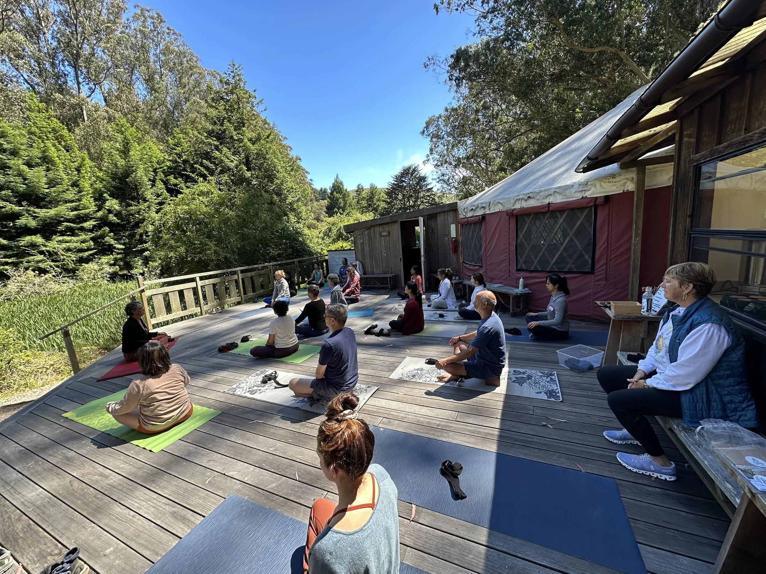 People practicing yoga outdoors on a wooden deck surrounded by trees, with a red tent in the background, under a blue sky.