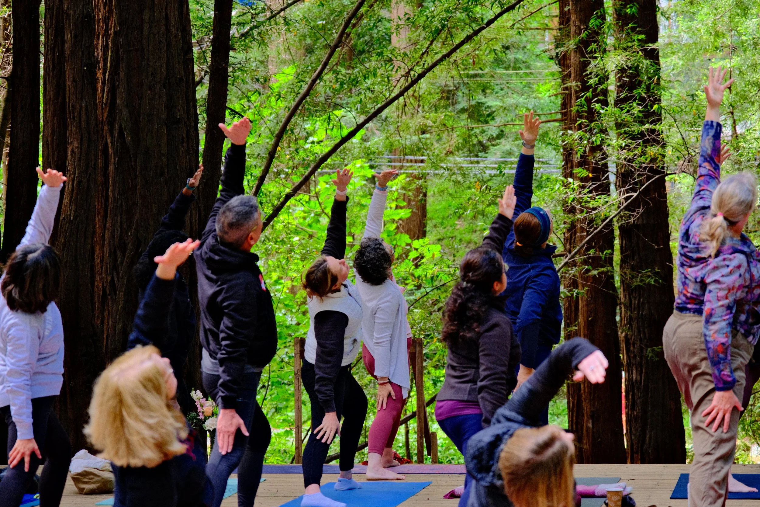 Group of people participating in outdoor yoga session among tall trees in a forest.
