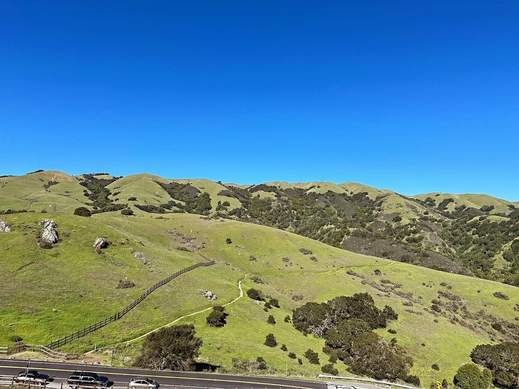 46256302-7B4C-4C4B-9460-92B19BB7F4F1_1_105_c.jpeg