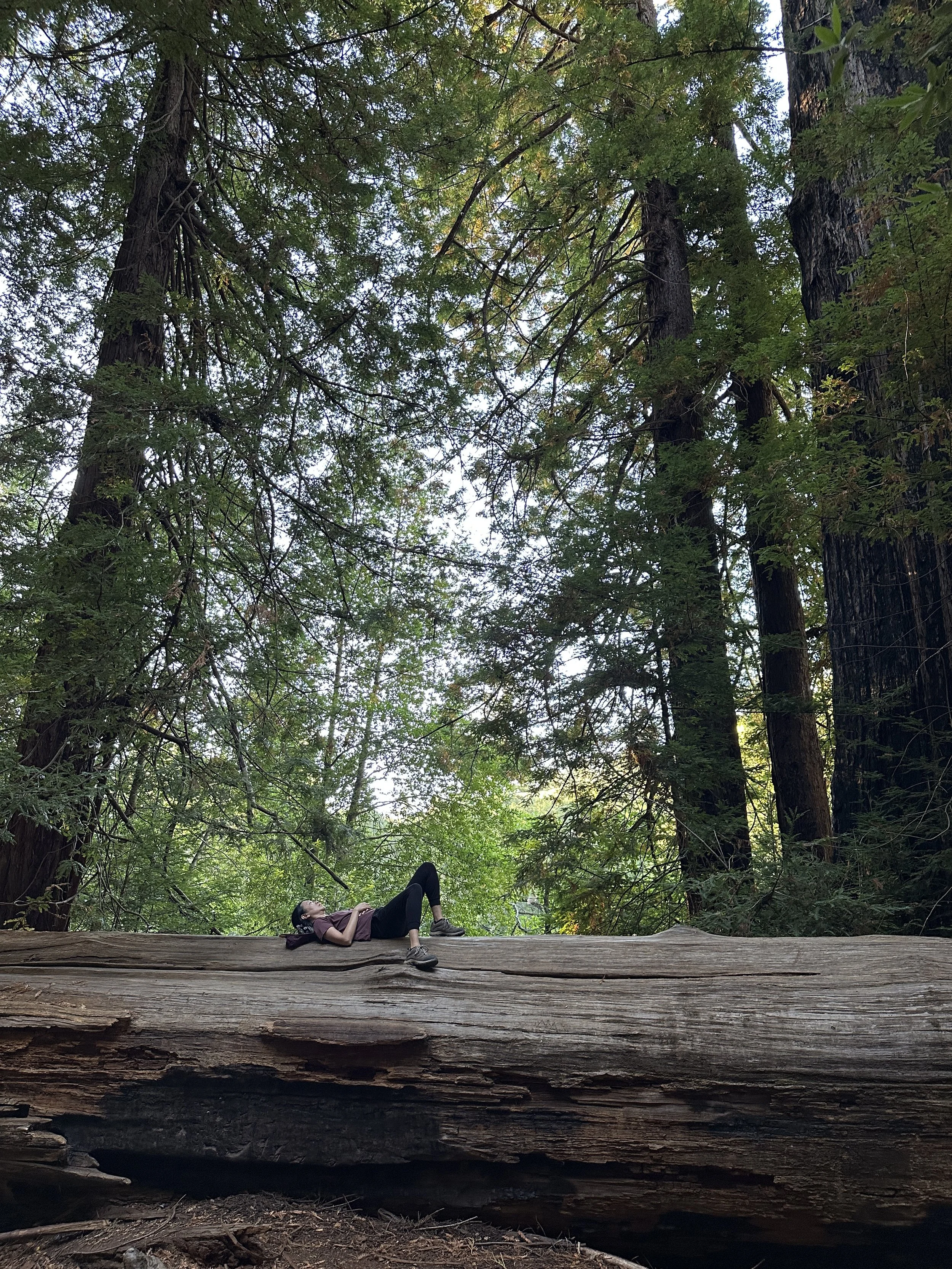 IMG_3268.JPG (Copy) (Copy)