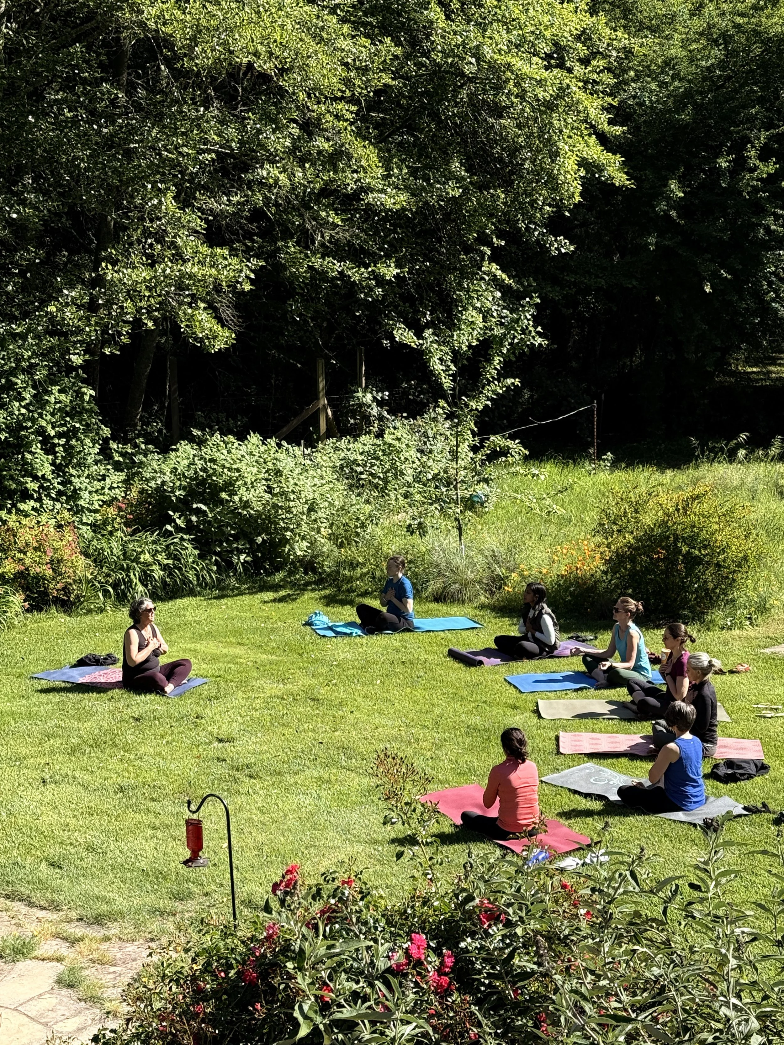 March 1-4 2027, Professional Coaching and Mindfulness CME Registration