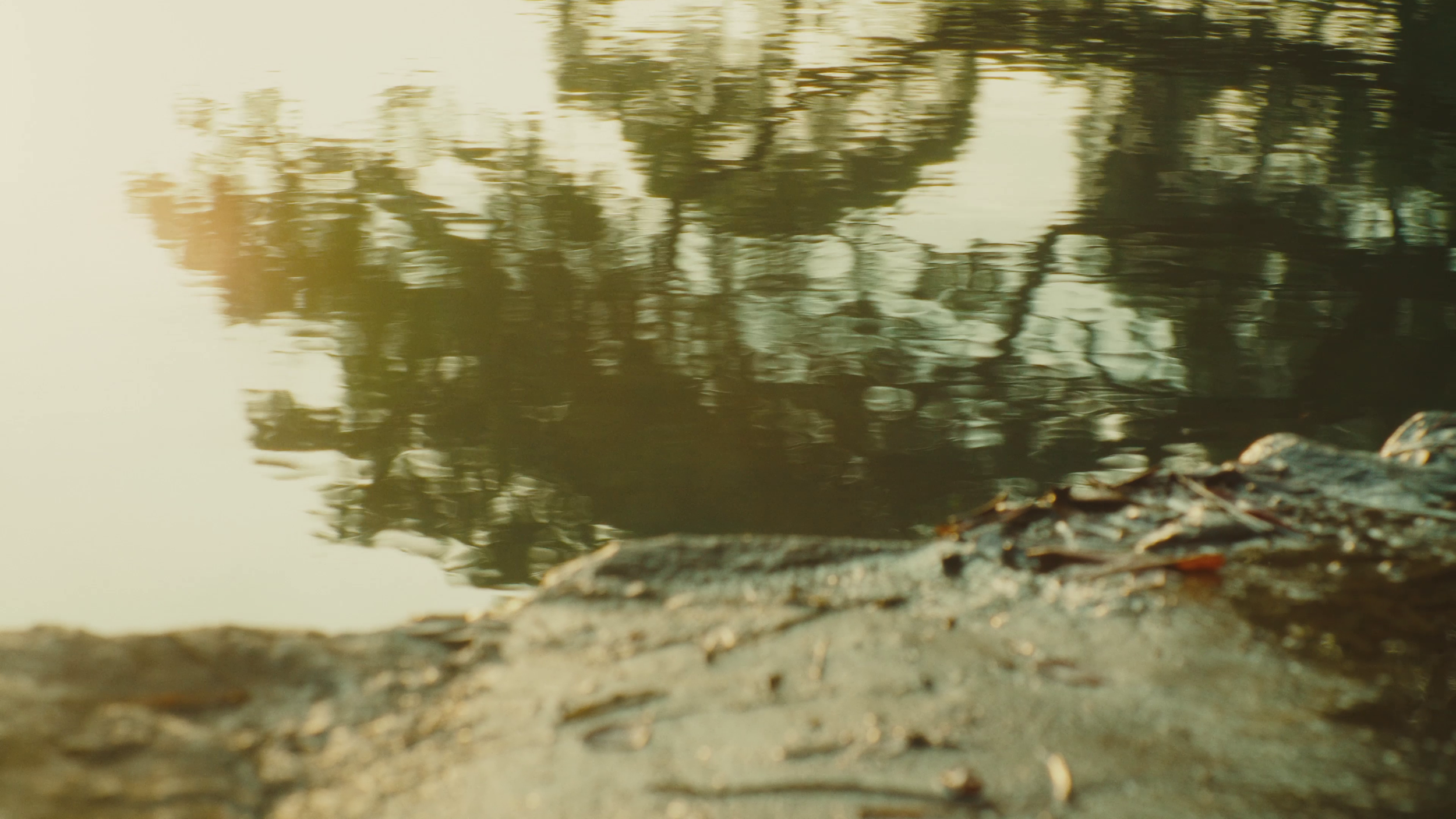 vlcsnap-2022-08-23-16h53m43s687.png