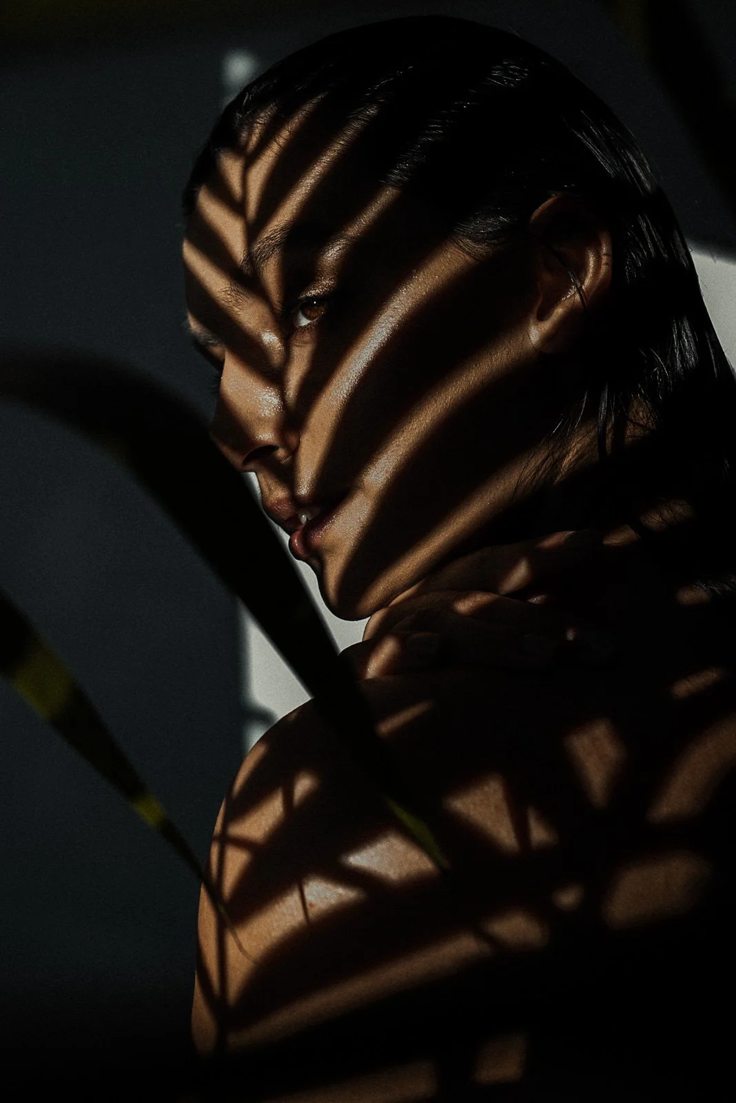 20220107-0210-Edit copy.jpg