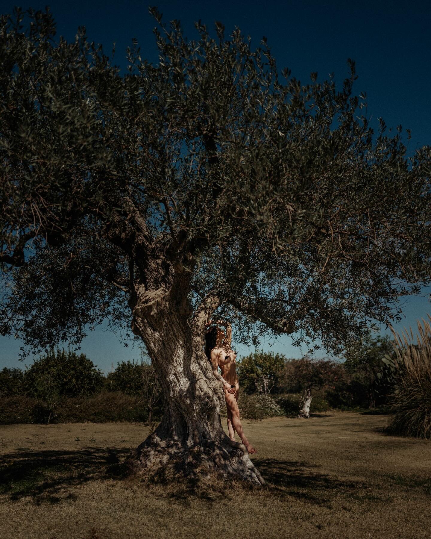 70/2024
Embracing the whispers of nature in its purest form. 🍃✨ Captured through the impeccable lens of a #LeicaQ2, this image is a tribute to the timeless dance between the human essence and the earth&rsquo;s raw beauty. #NatureNude #ArtInNature #L