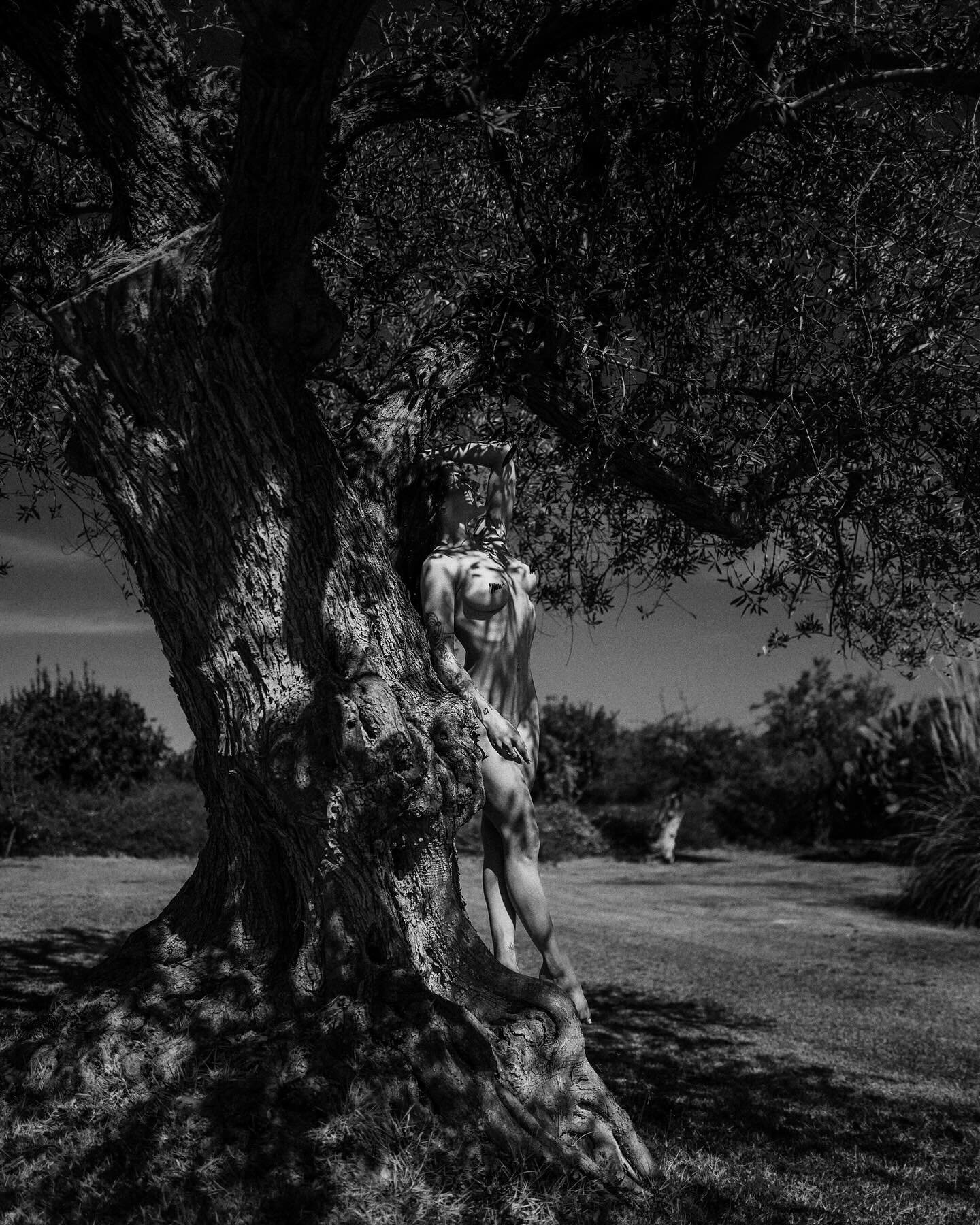 77/2024
&ldquo;Exploring the raw beauty of Sicily with the #LeicaQ2, where the whispers of history and nature speak through timeless monochrome. Here, a statue-like form melds with the ancient contours of a tree, embodying the symbiotic dance between