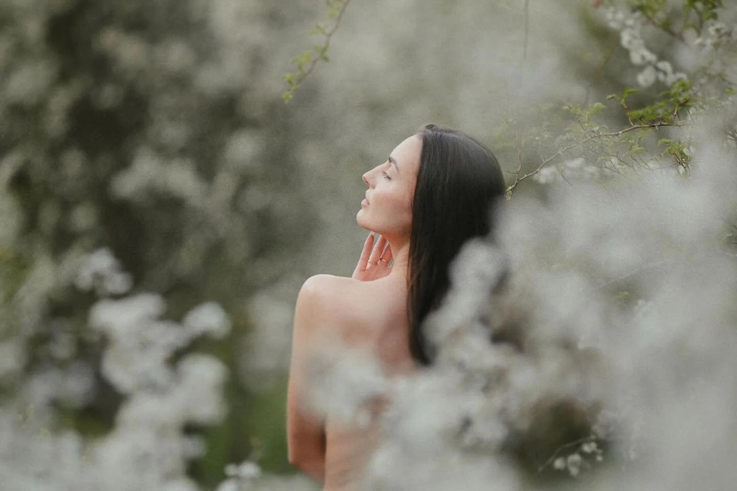 Nie v&scaron;etko mus&iacute; byť viditeľn&eacute;,
aby to bolo siln&eacute;.

Stač&iacute; naznačiť.

Leica SL2 &bull; f/1.25

#leicacamera #leicasl2 #blossom #beauty #slovakia