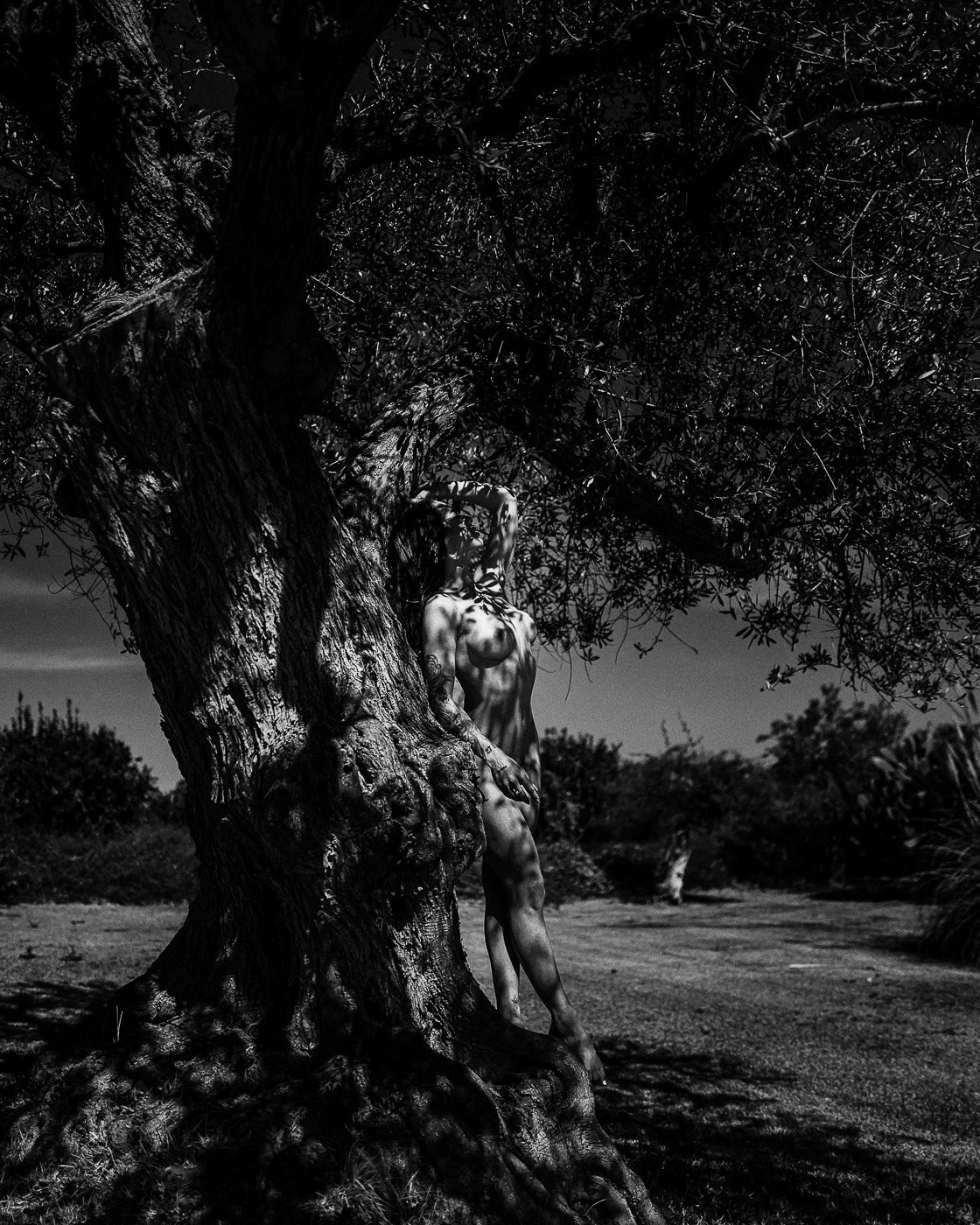 L1292775-Edit copy.jpg