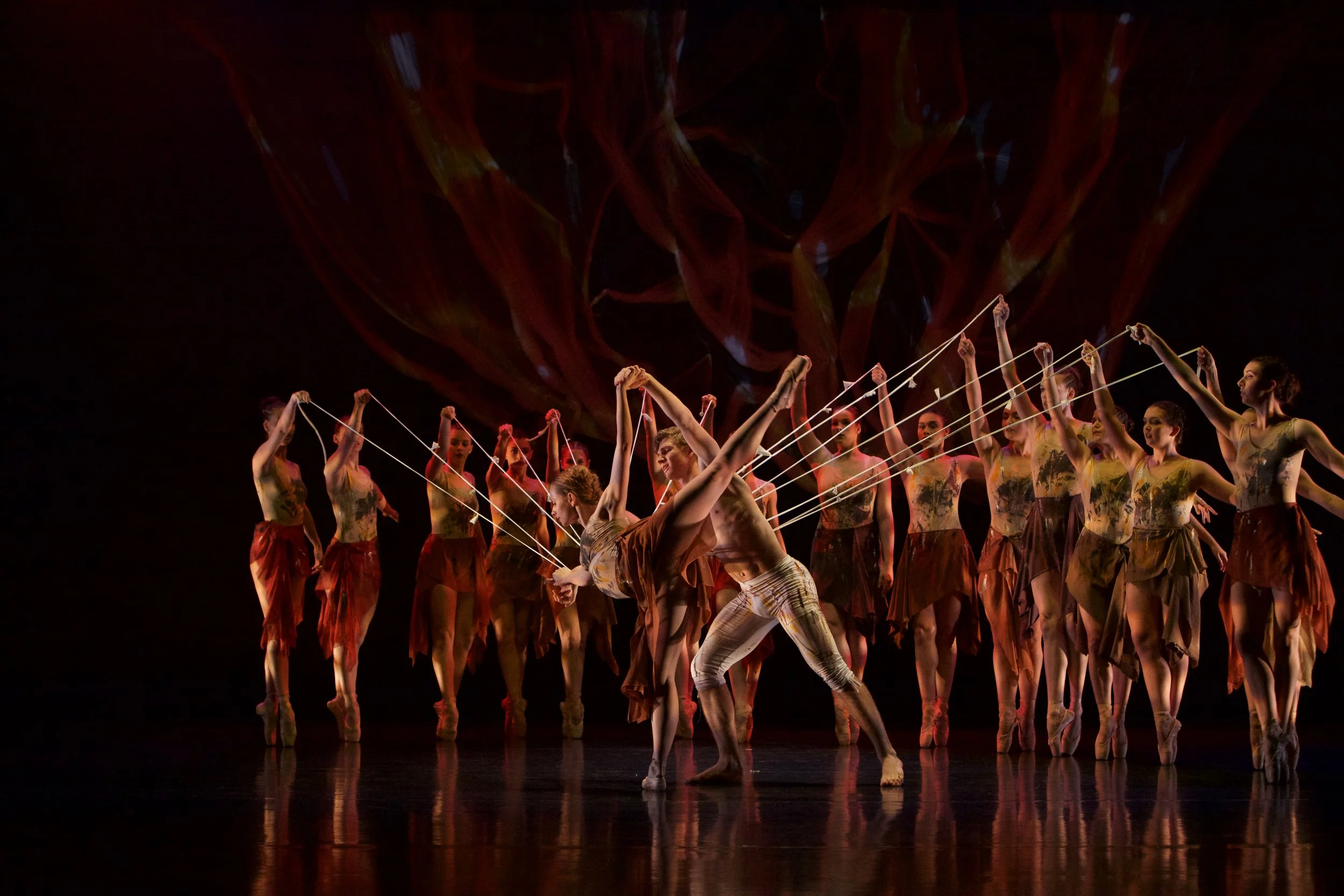 Fiona Cullen's Image-2016 Essentially Dance 526.jpeg
