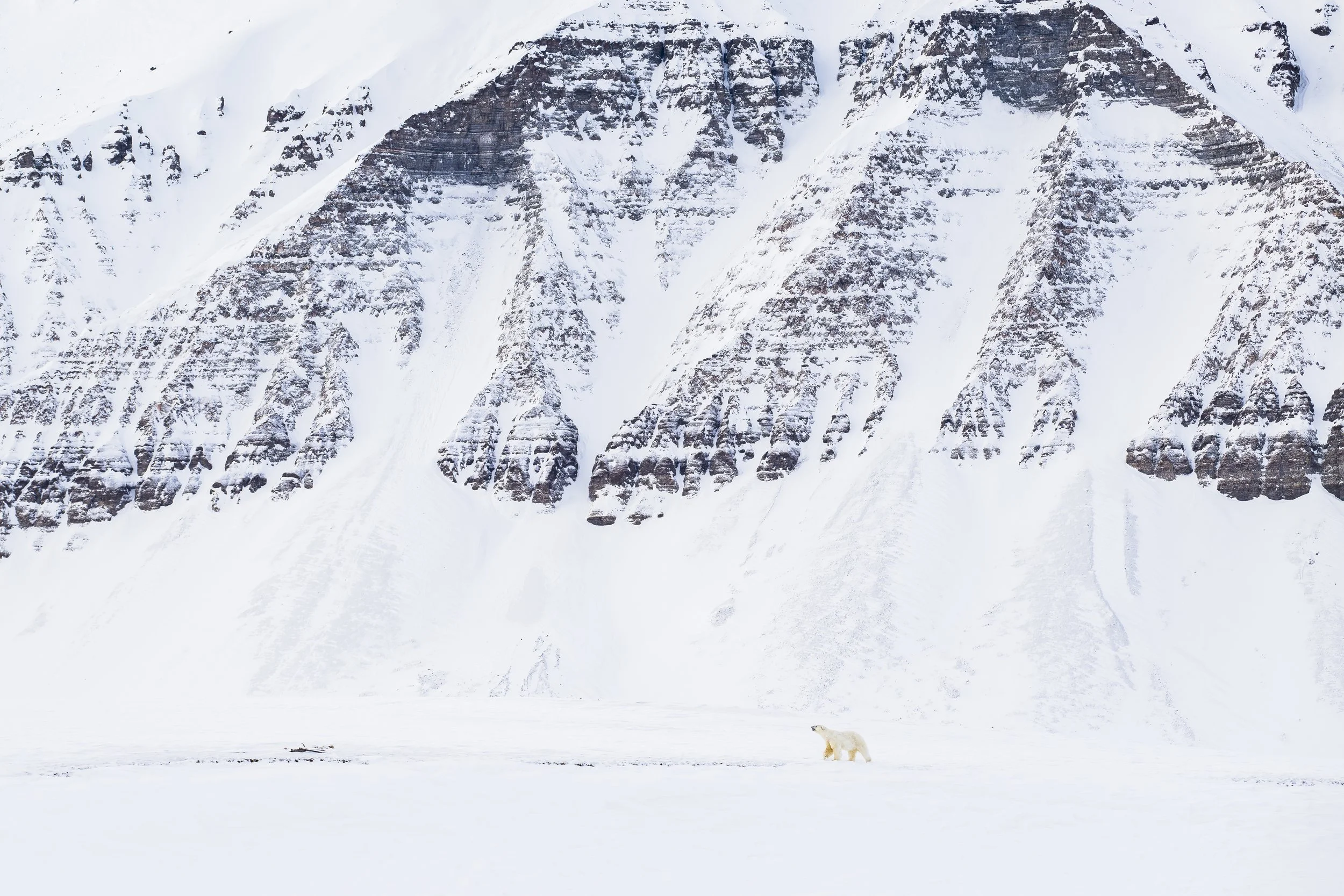 GANADU WILDLIFE-22.jpg