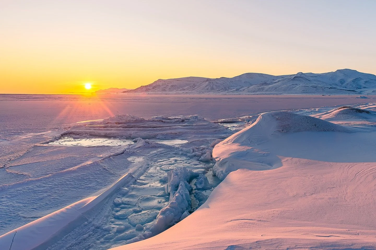 First time of the season, we reached the east coast with  a beautiful sunrise over Agardhbukta. Fascinating to see the sea ice forming in these soft colors, we could watch it moving up and down and even hear it cracking as it rose with the tide, desp