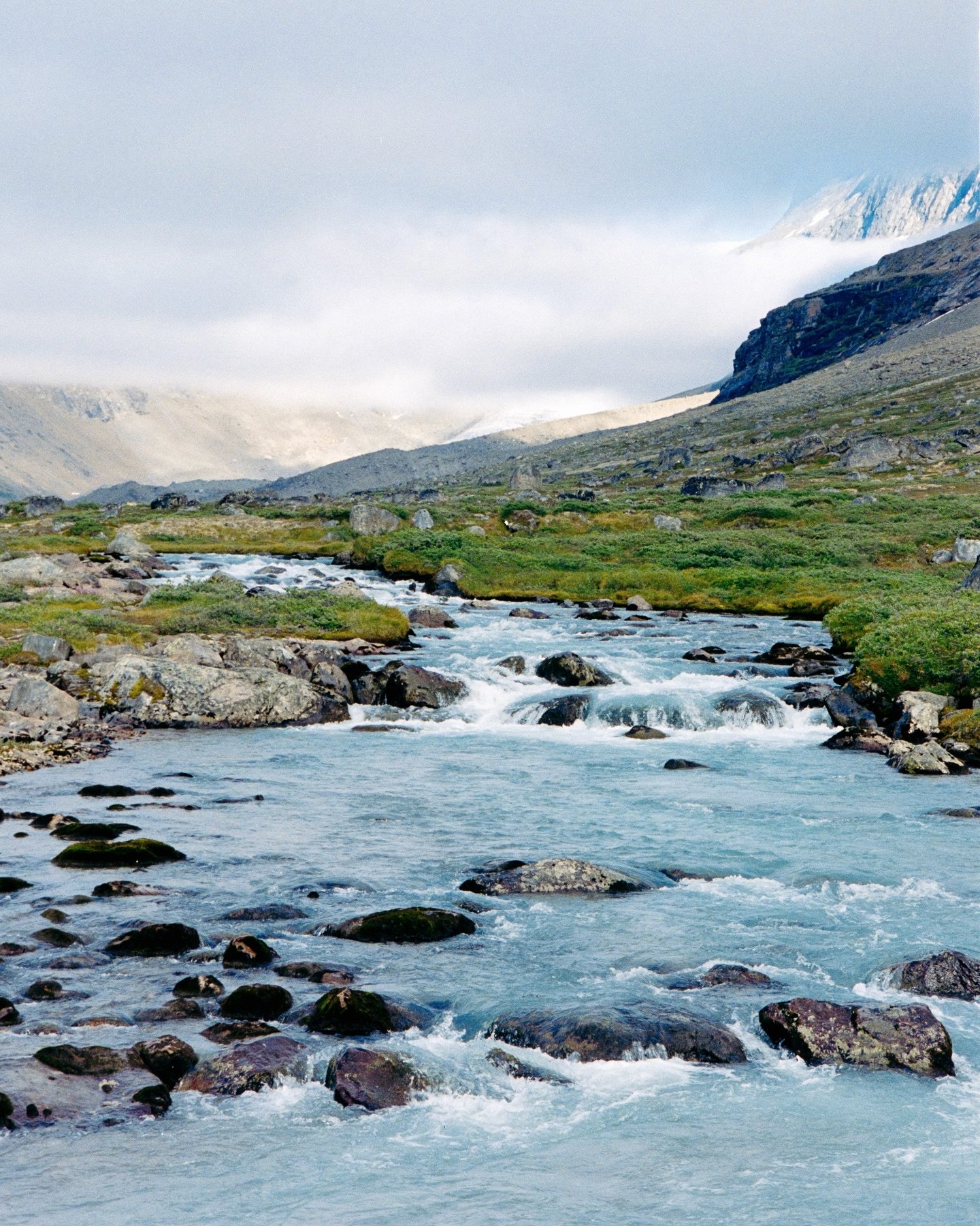 Greenland memories, a land of contrast, where ice meets grass and and flowers. Shot on film Kodak portra 400