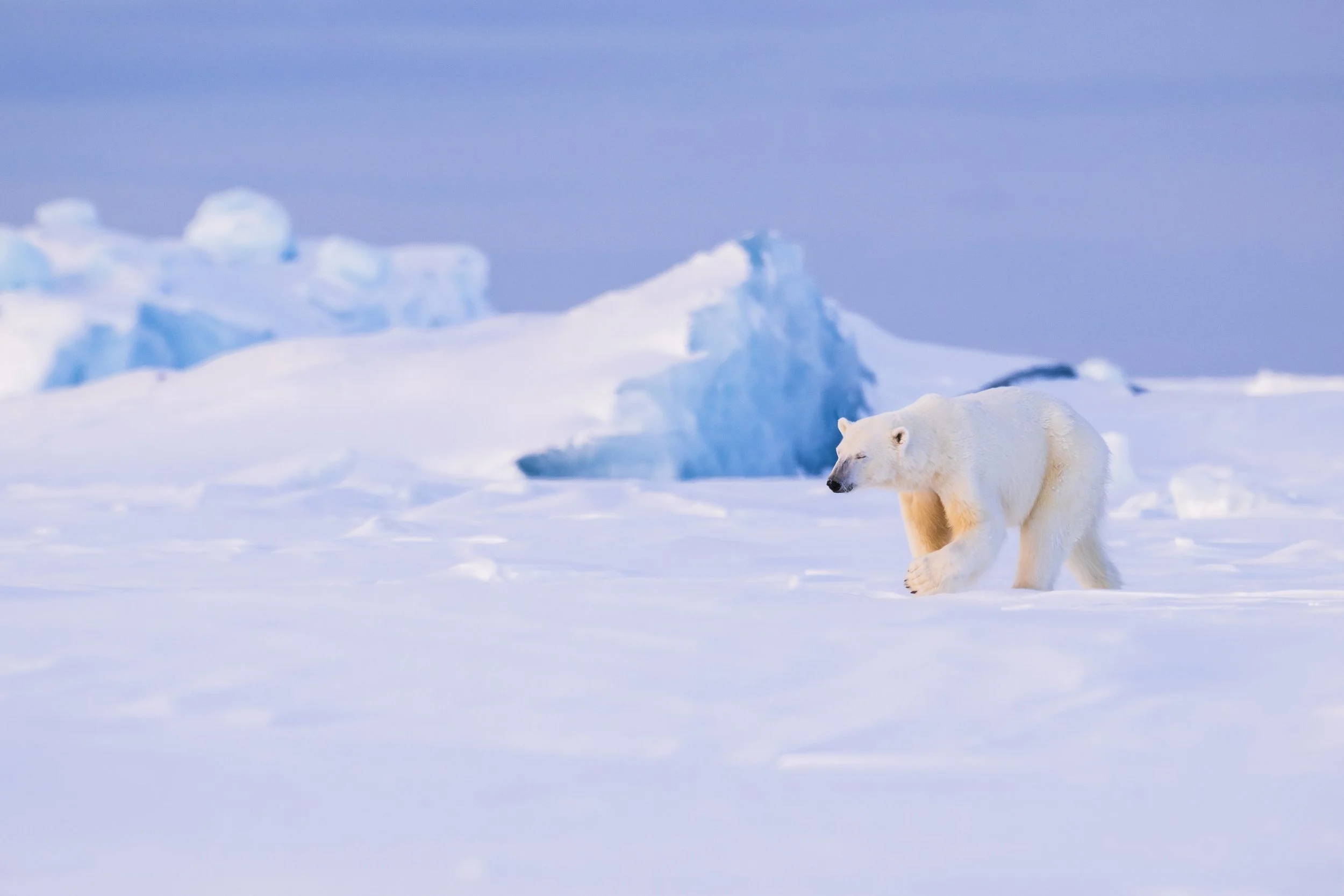 GANADU WILDLIFE-34.jpg