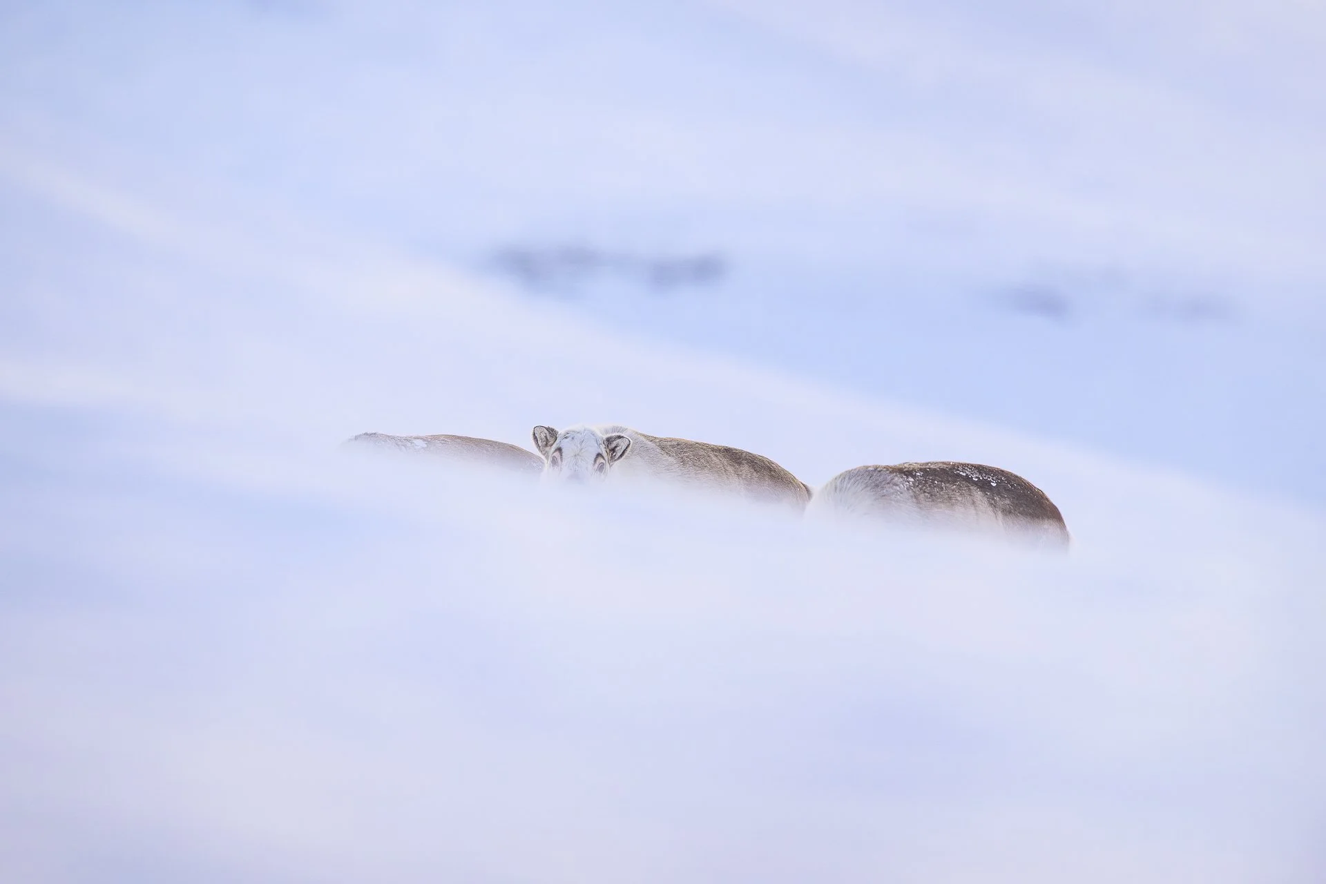 MATHEO 2026-4032.jpg