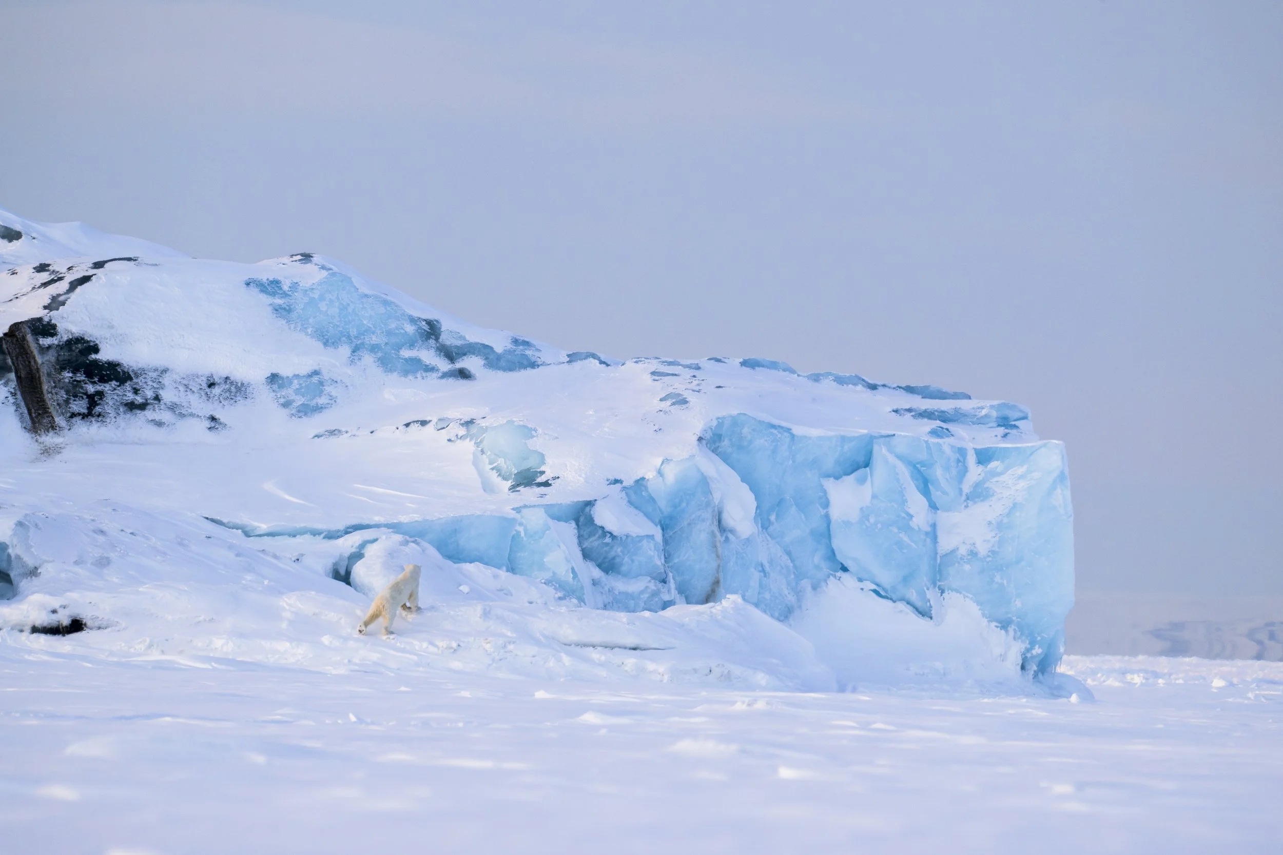 GANADU WILDLIFE-15.jpg