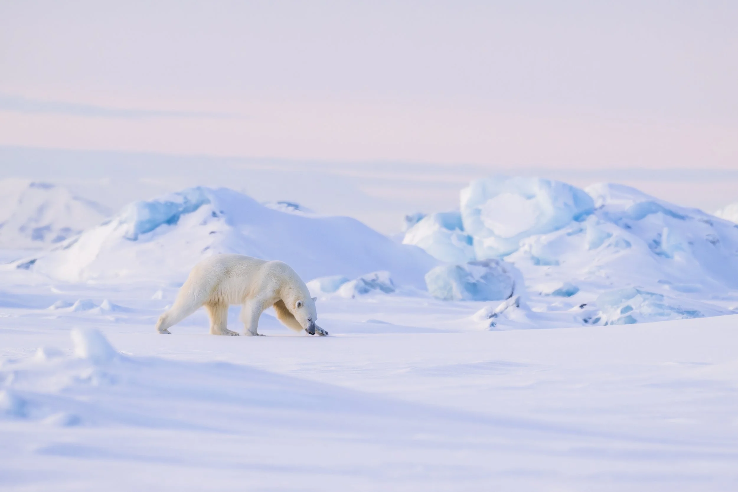 GANADU WILDLIFE-42.jpg