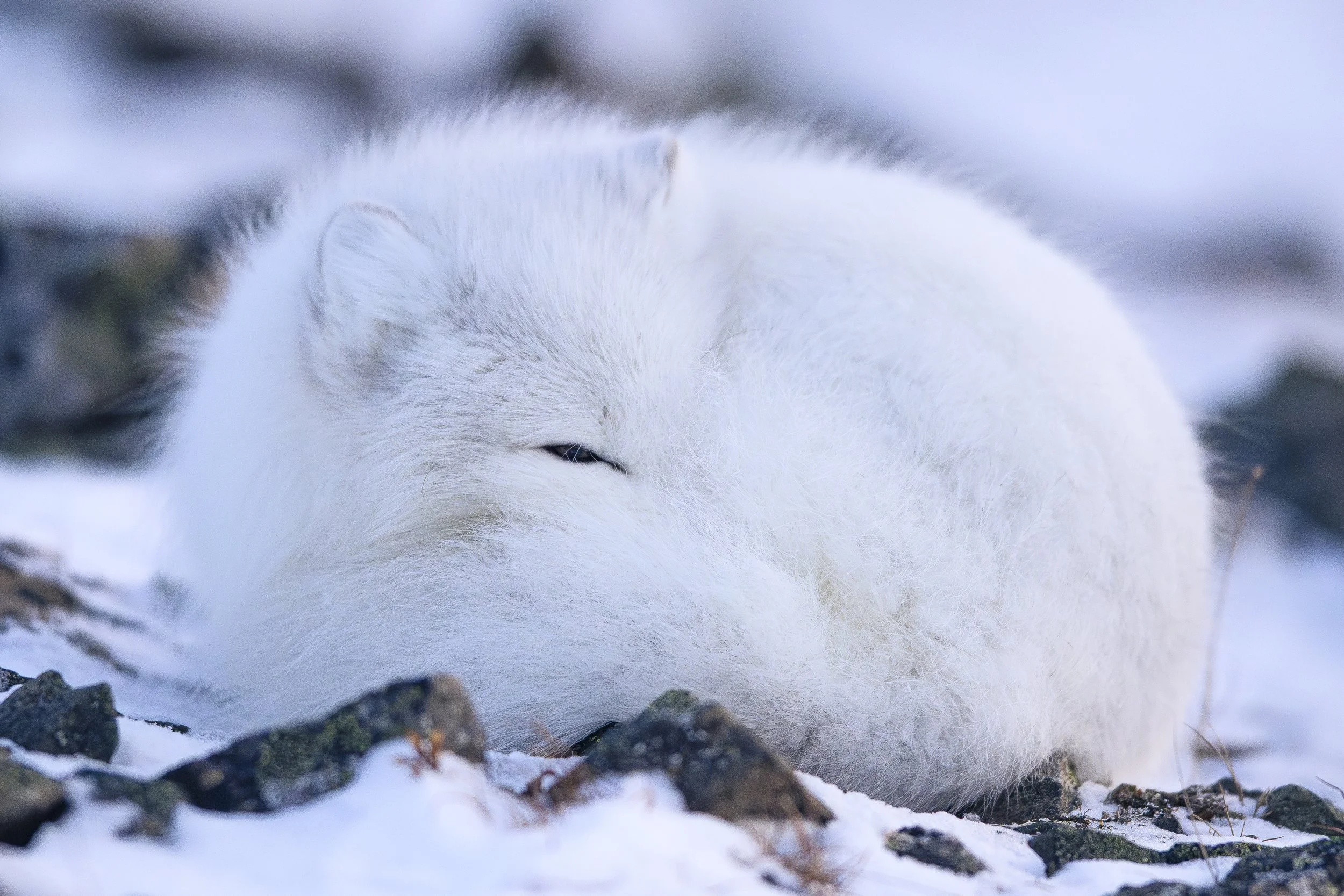 MATHEO 2026-15-2.jpg