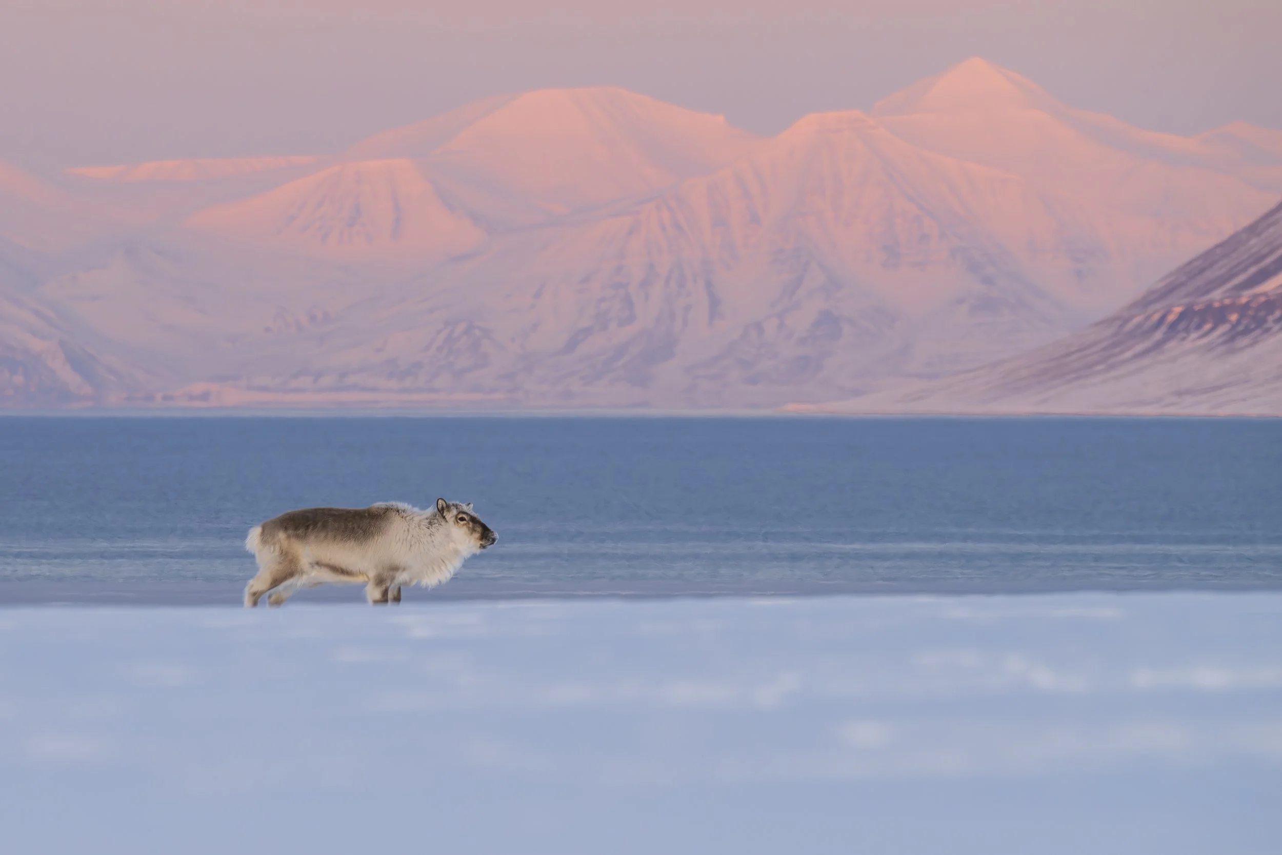 GANADU WILDLIFE-8.jpg