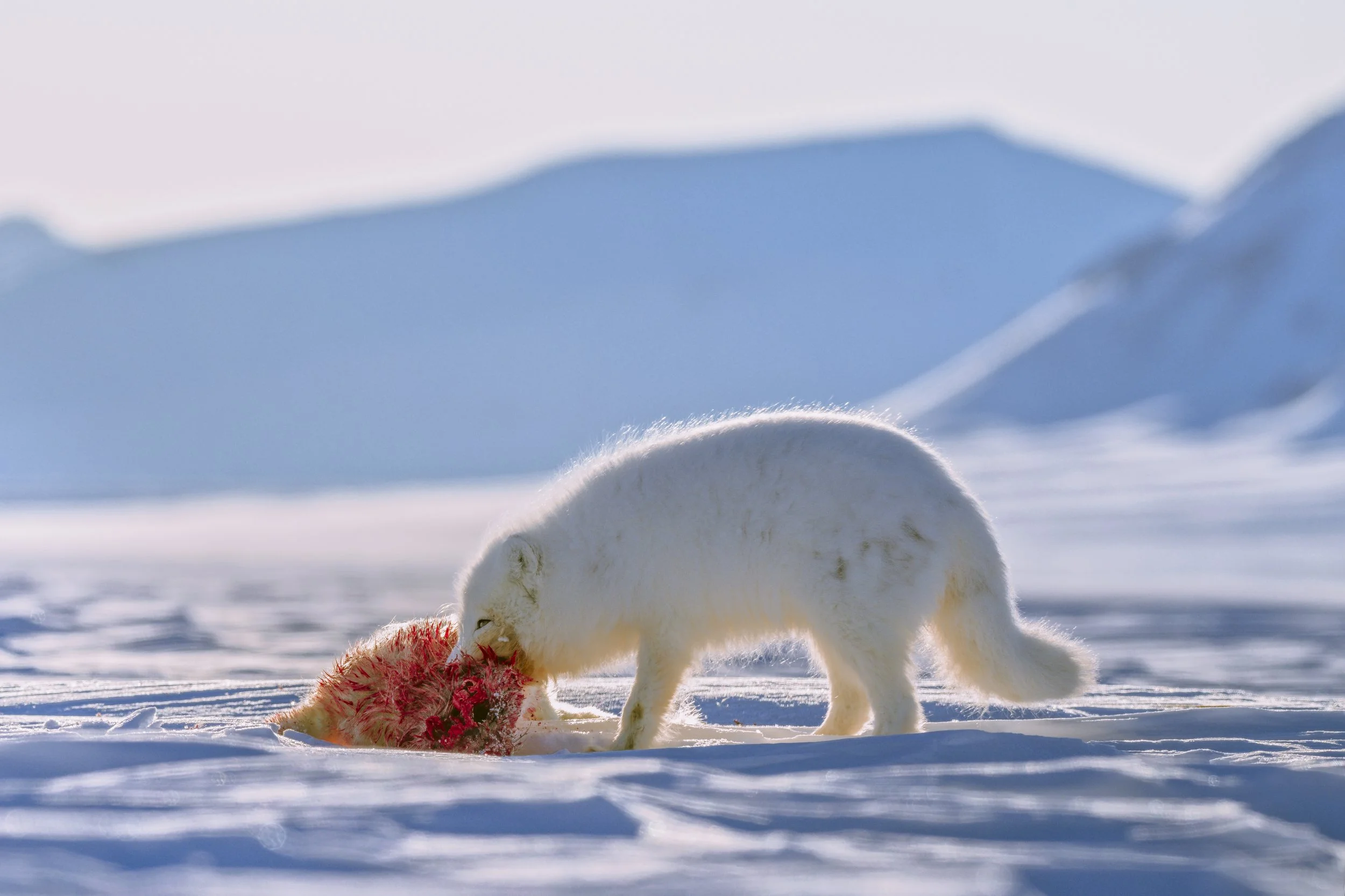 Image 2025-11-22 114748_1.4.3.jpg