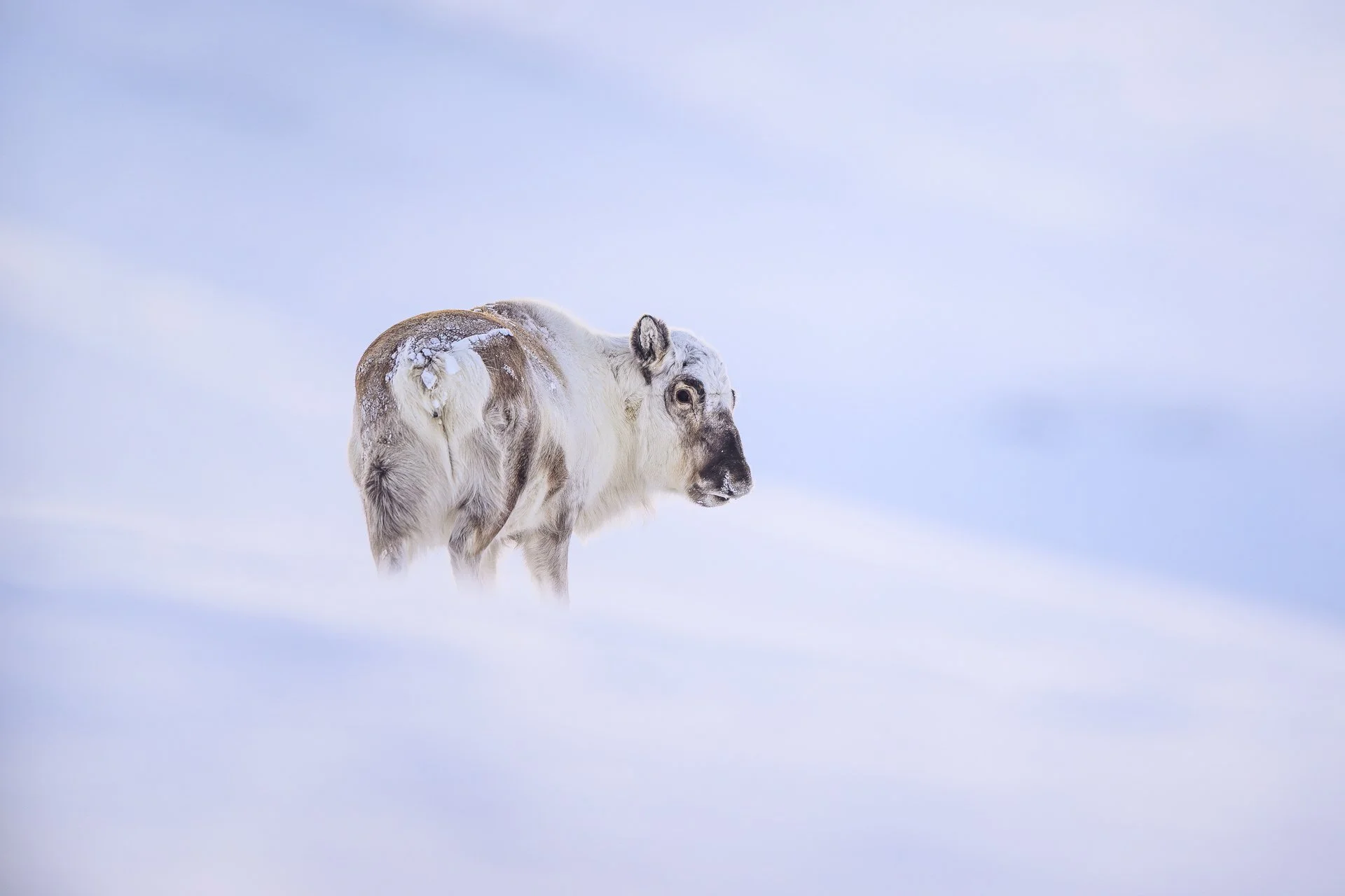 MATHEO 2026-4016.jpg