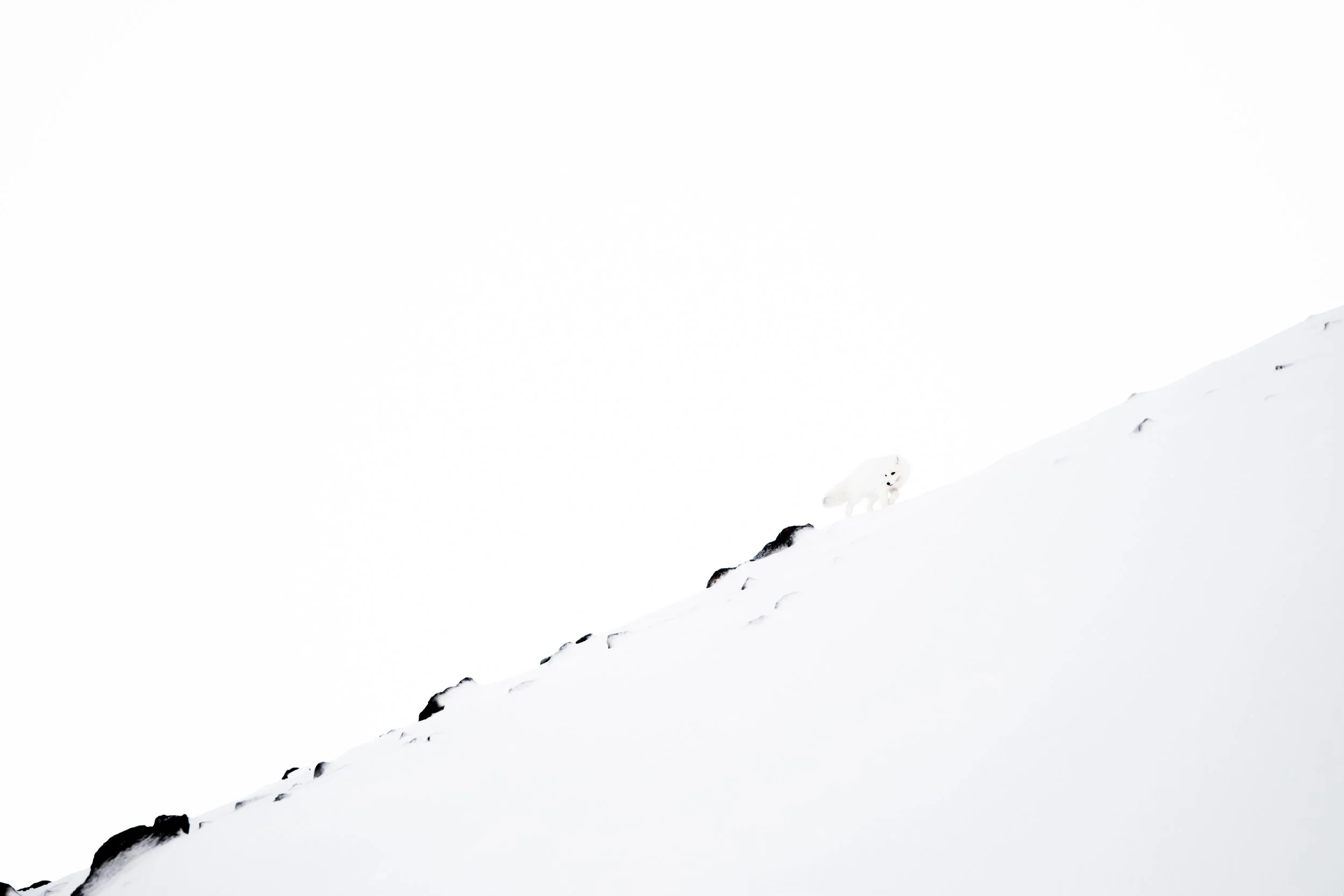 MATHEO GANADU_ AAP  (8).JPG