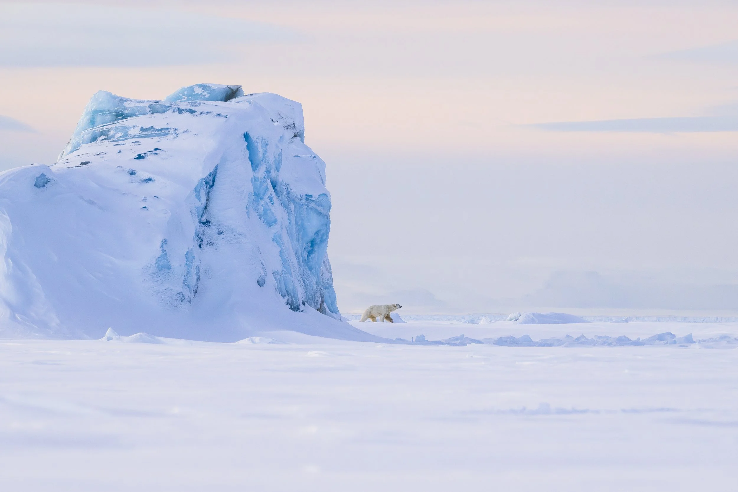 GANADU WILDLIFE-13.jpg