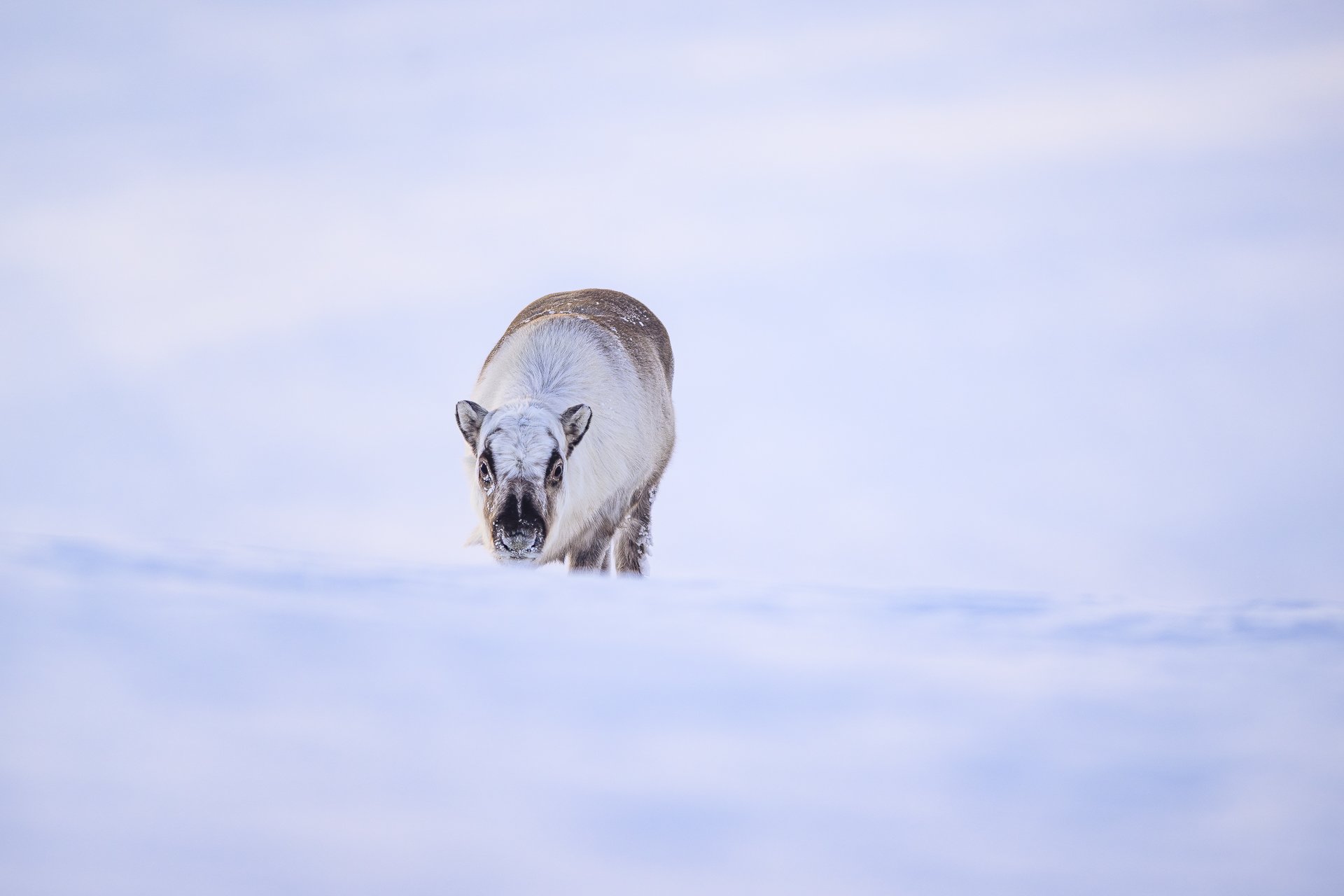 MATHEO 2026-3976.jpg