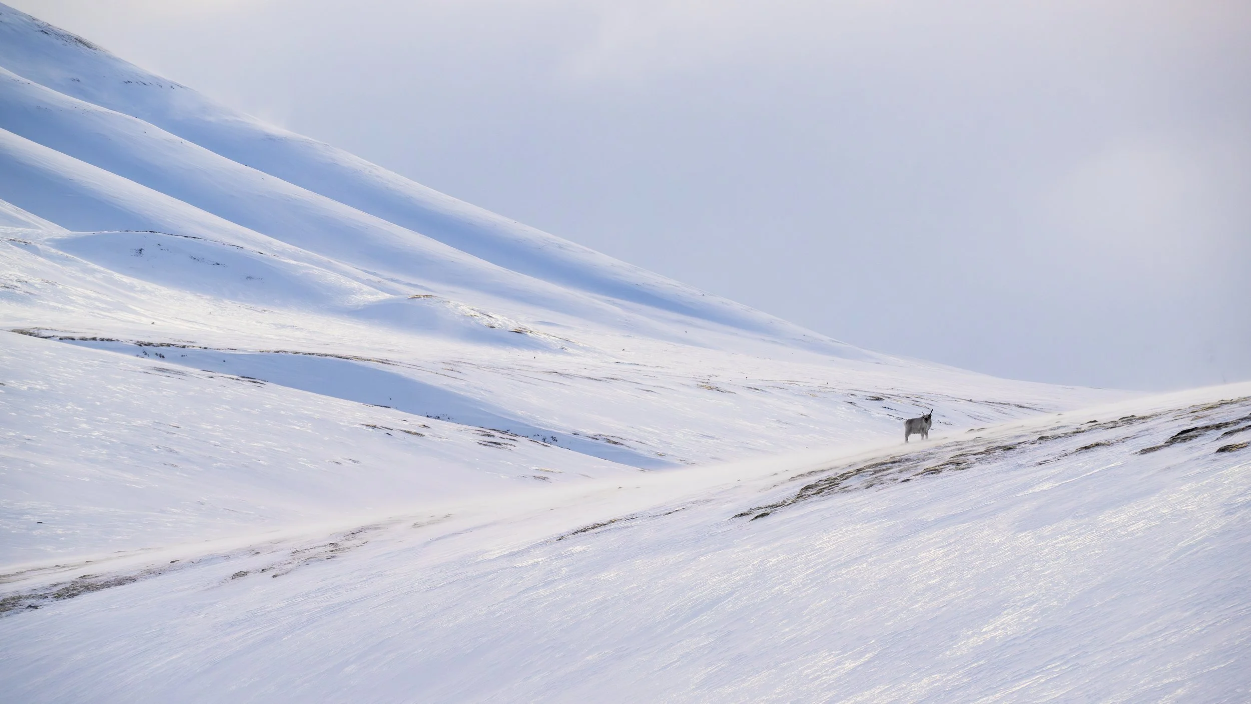 GANADU WILDLIFE-3.jpg