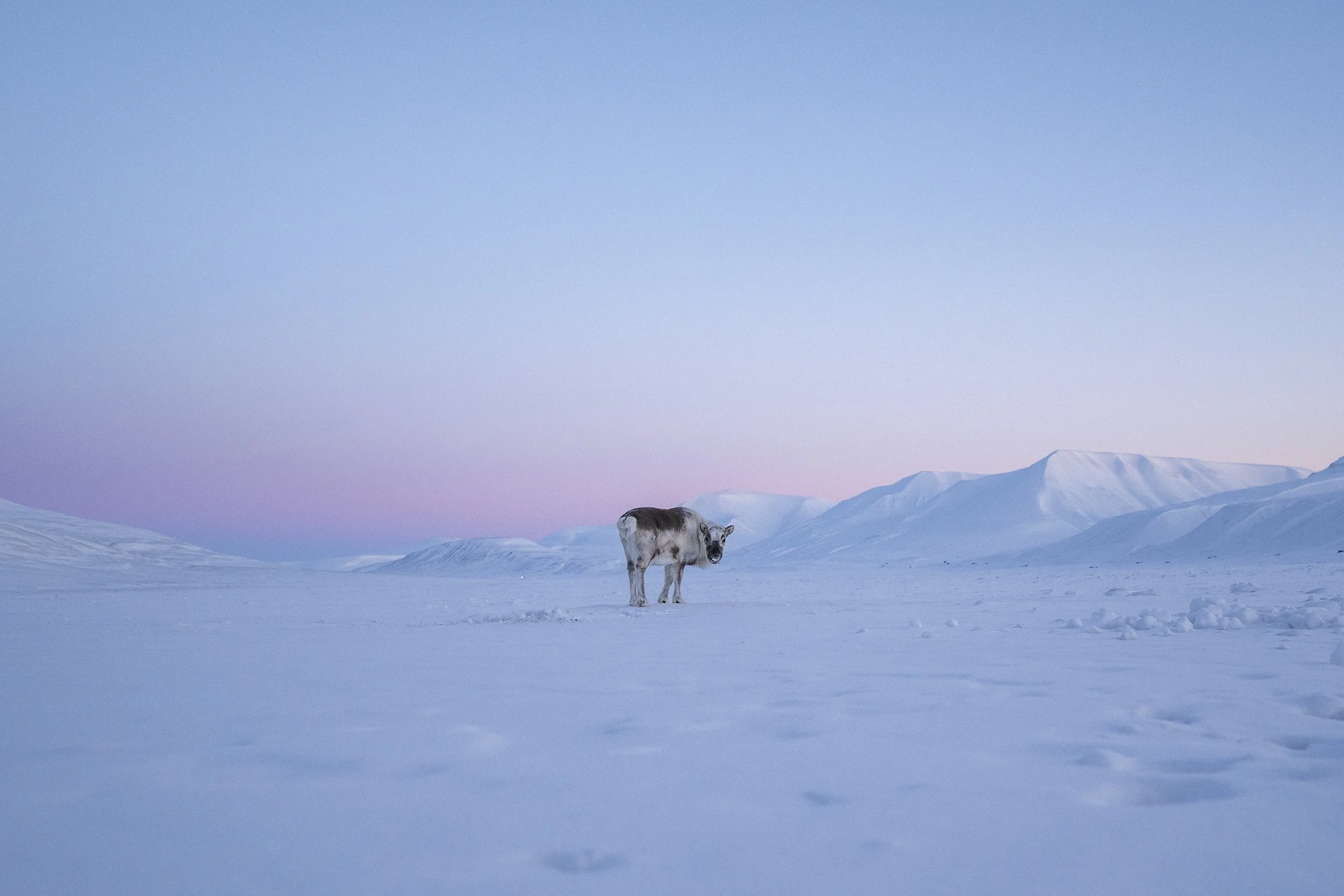 MATHEO GANADU_ AAP  (19).JPG