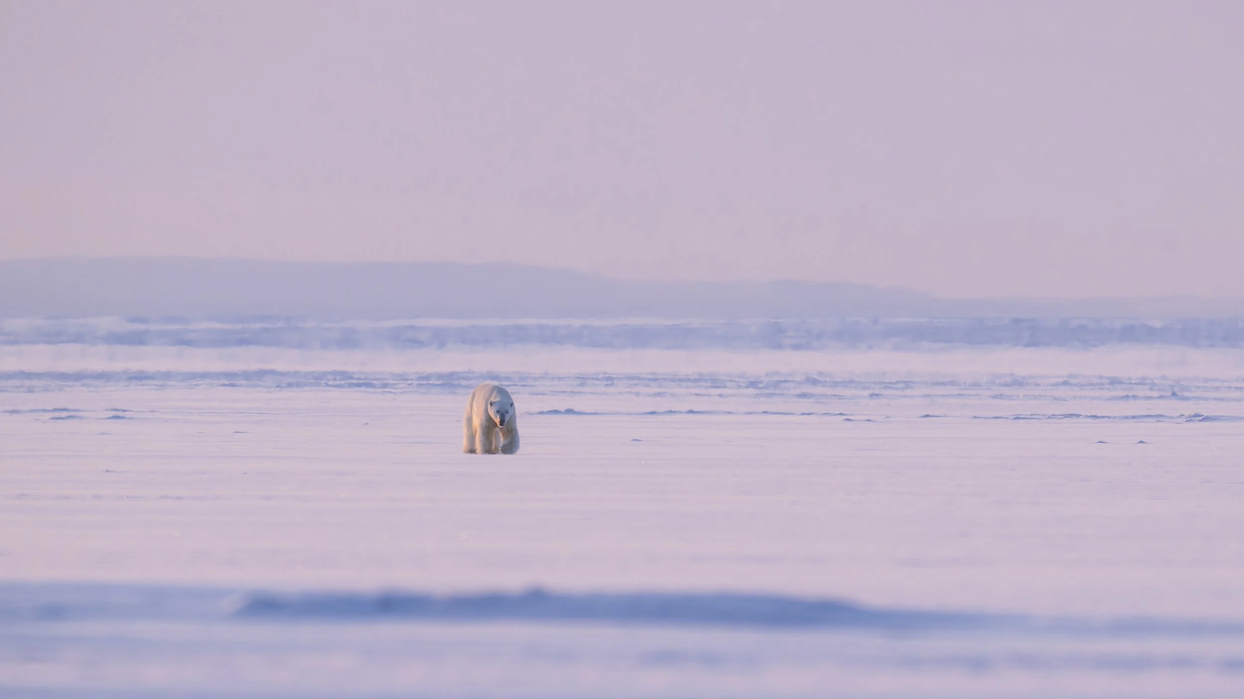 GANADU WILDLIFE-25.jpg