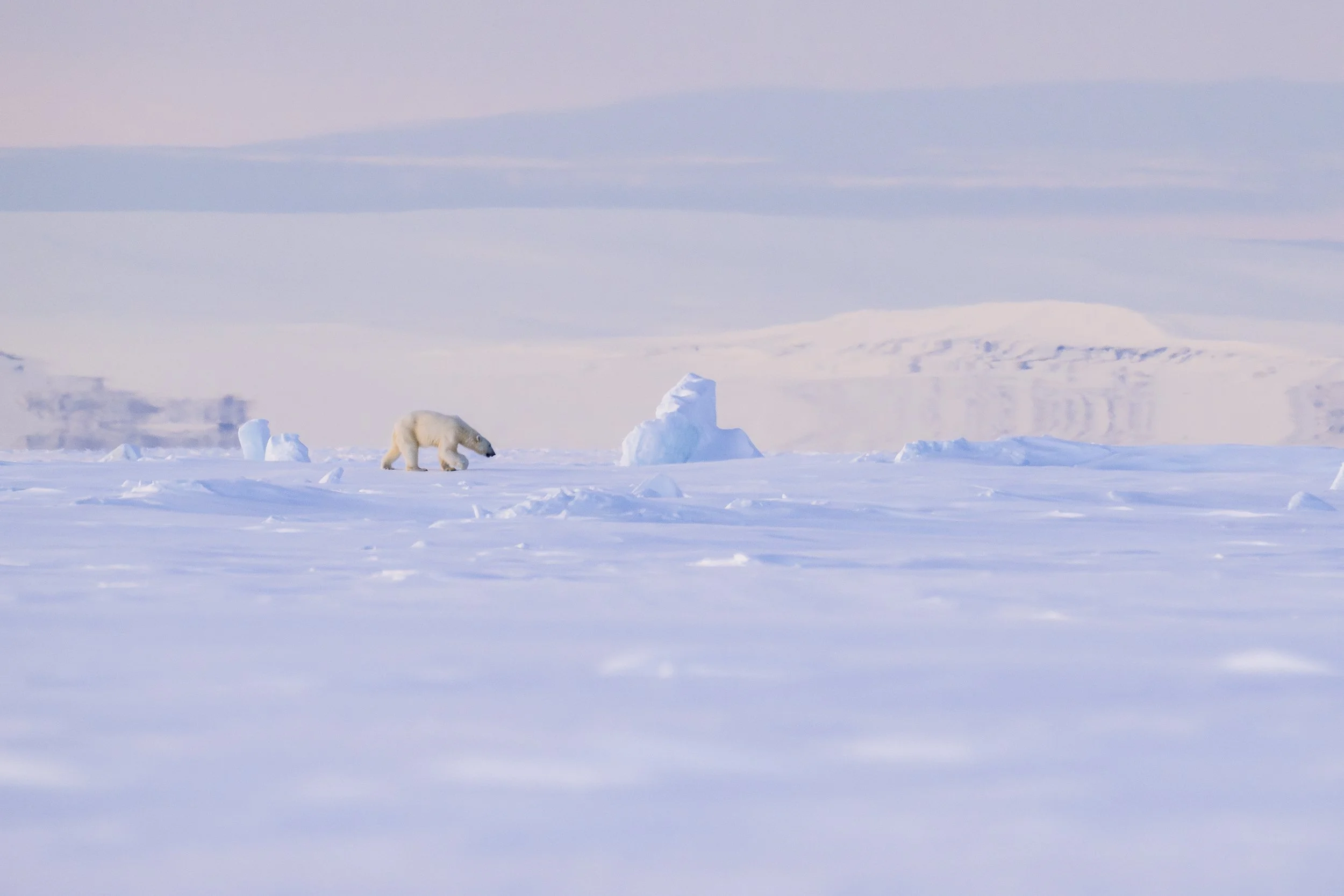 GANADU WILDLIFE-36.jpg