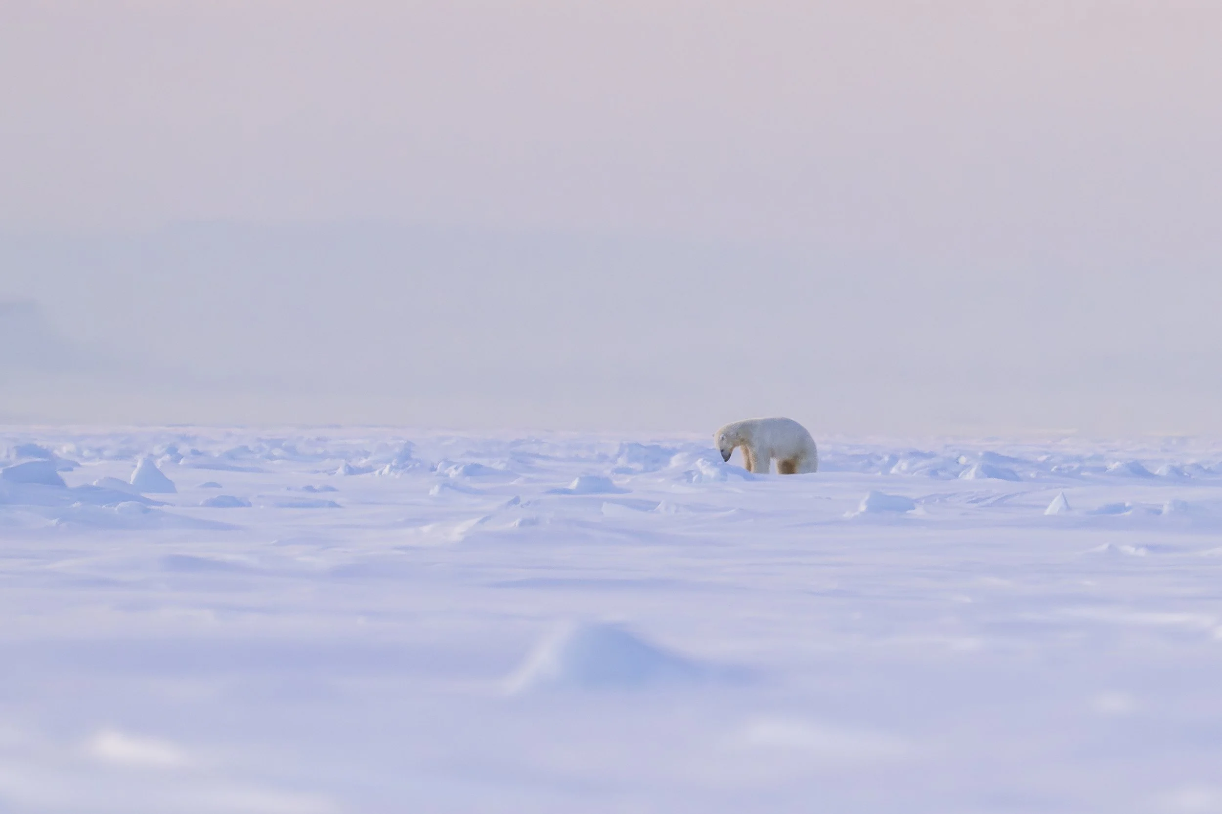 GANADU WILDLIFE-37.jpg