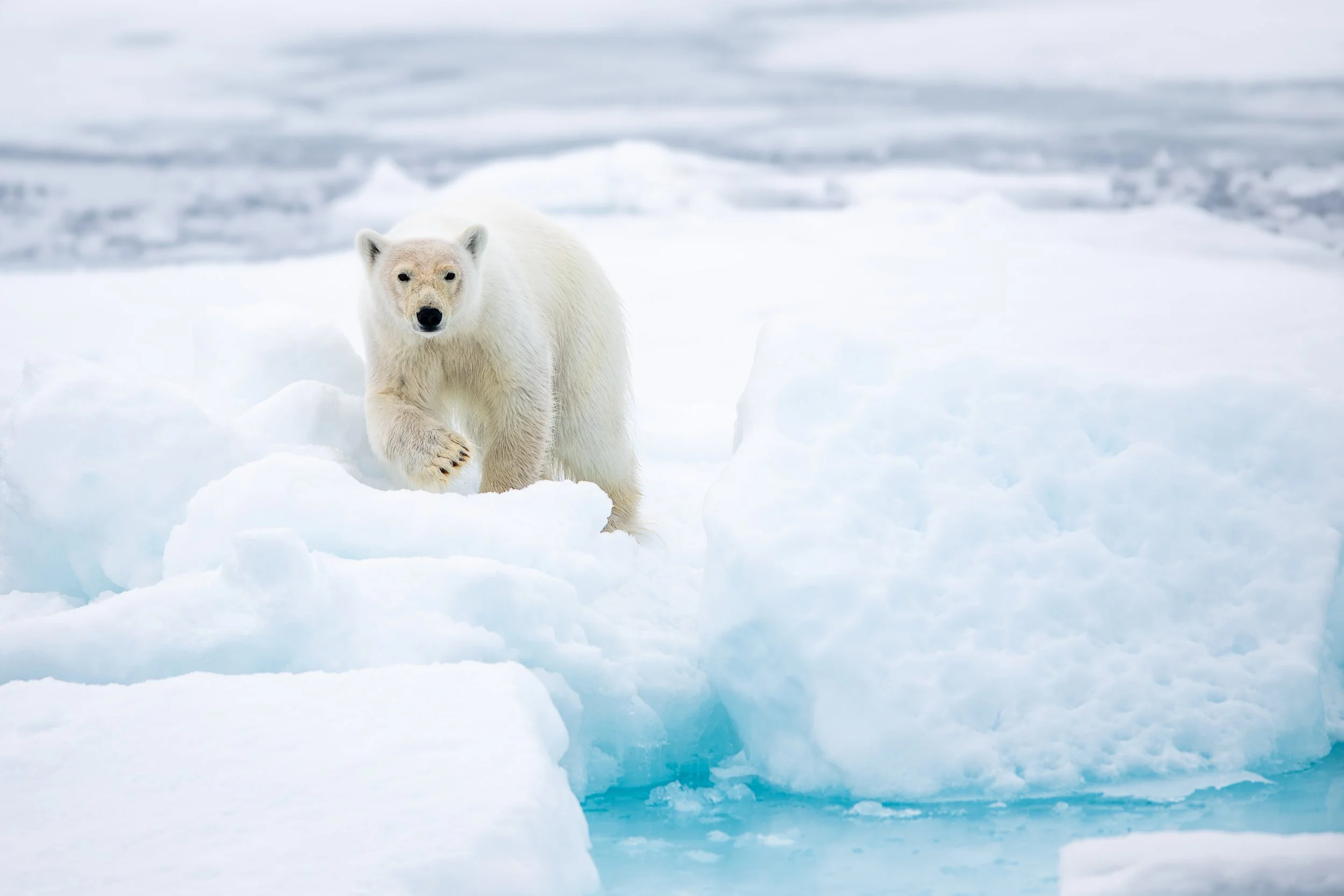 TEST EXPO (1 sur 1).JPG