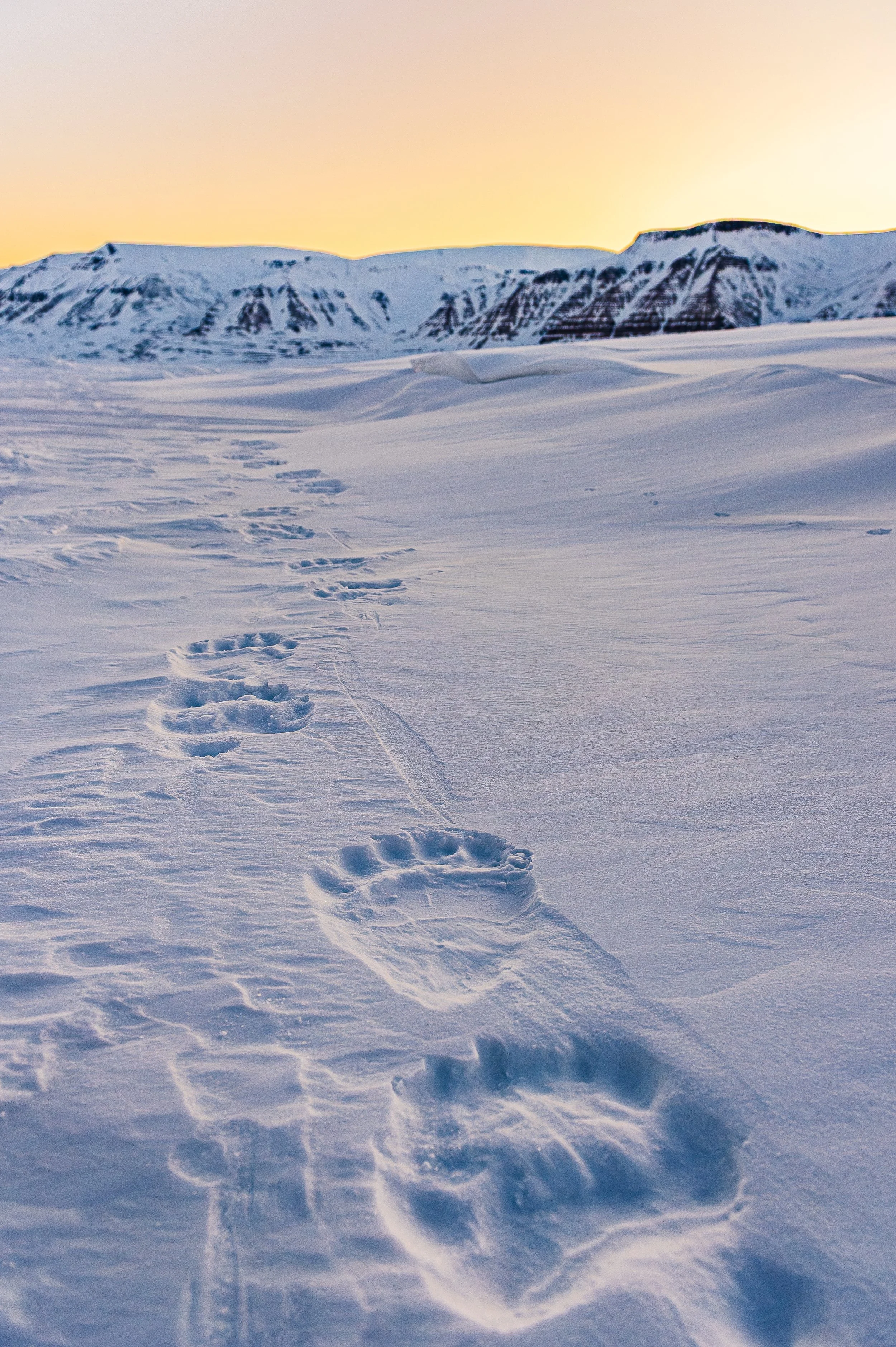 PYRAMIDEN  (104).jpg